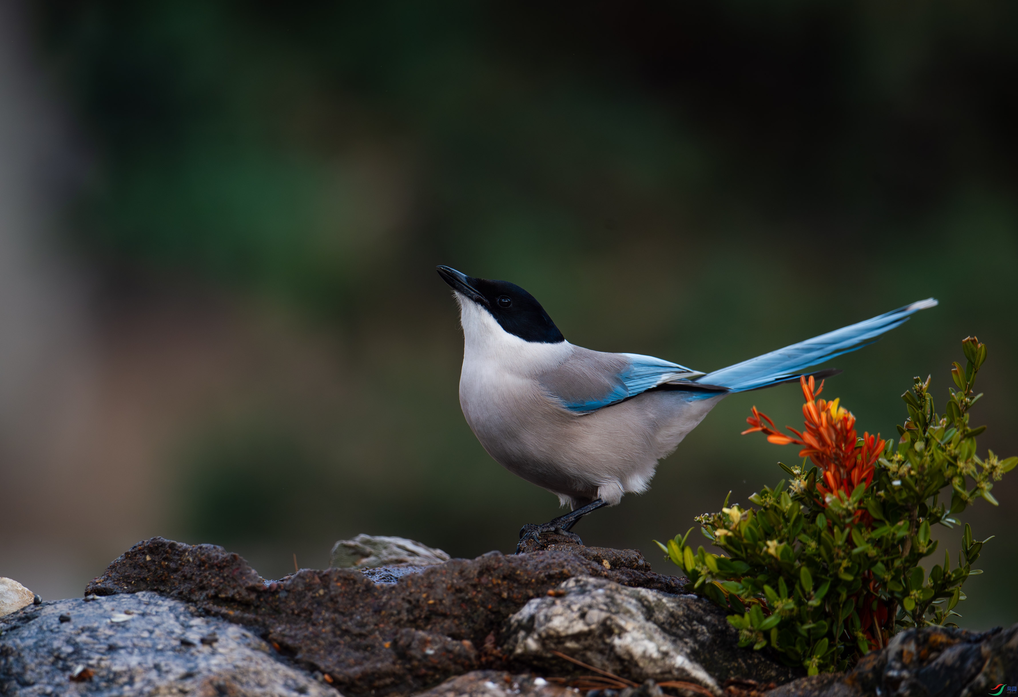 DSC_5497.jpg