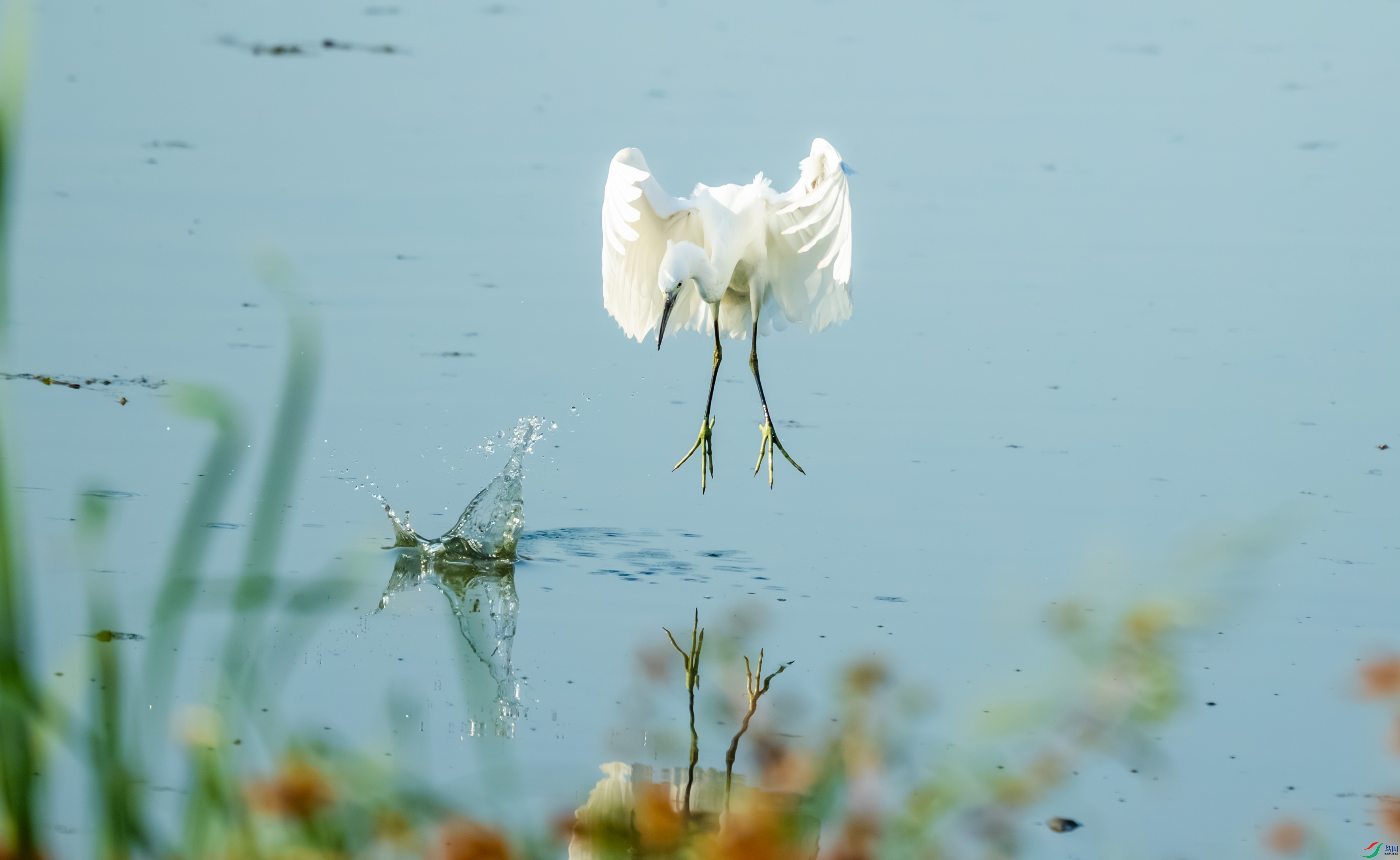 DSC_5617.jpg