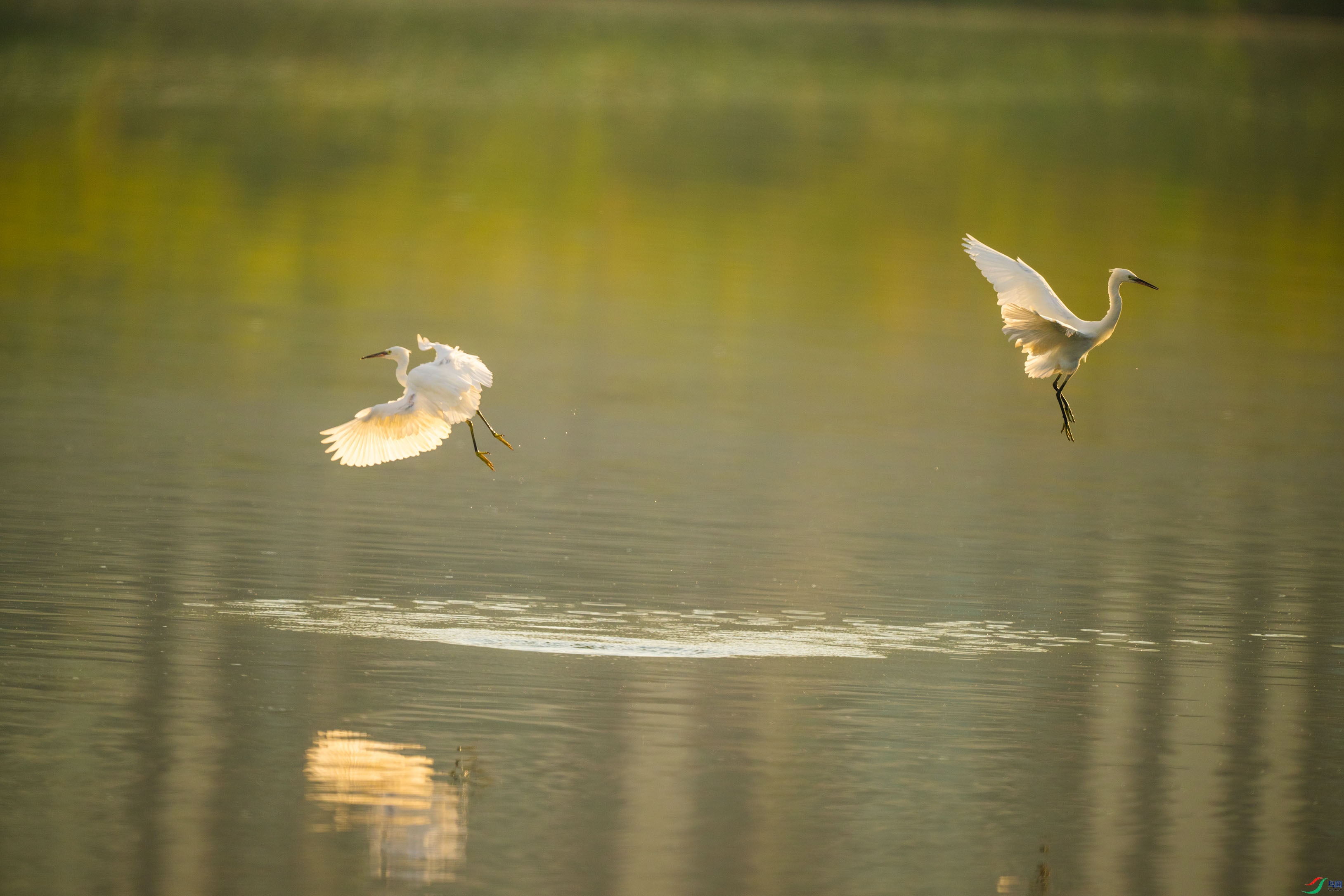 DSC_5501.jpg