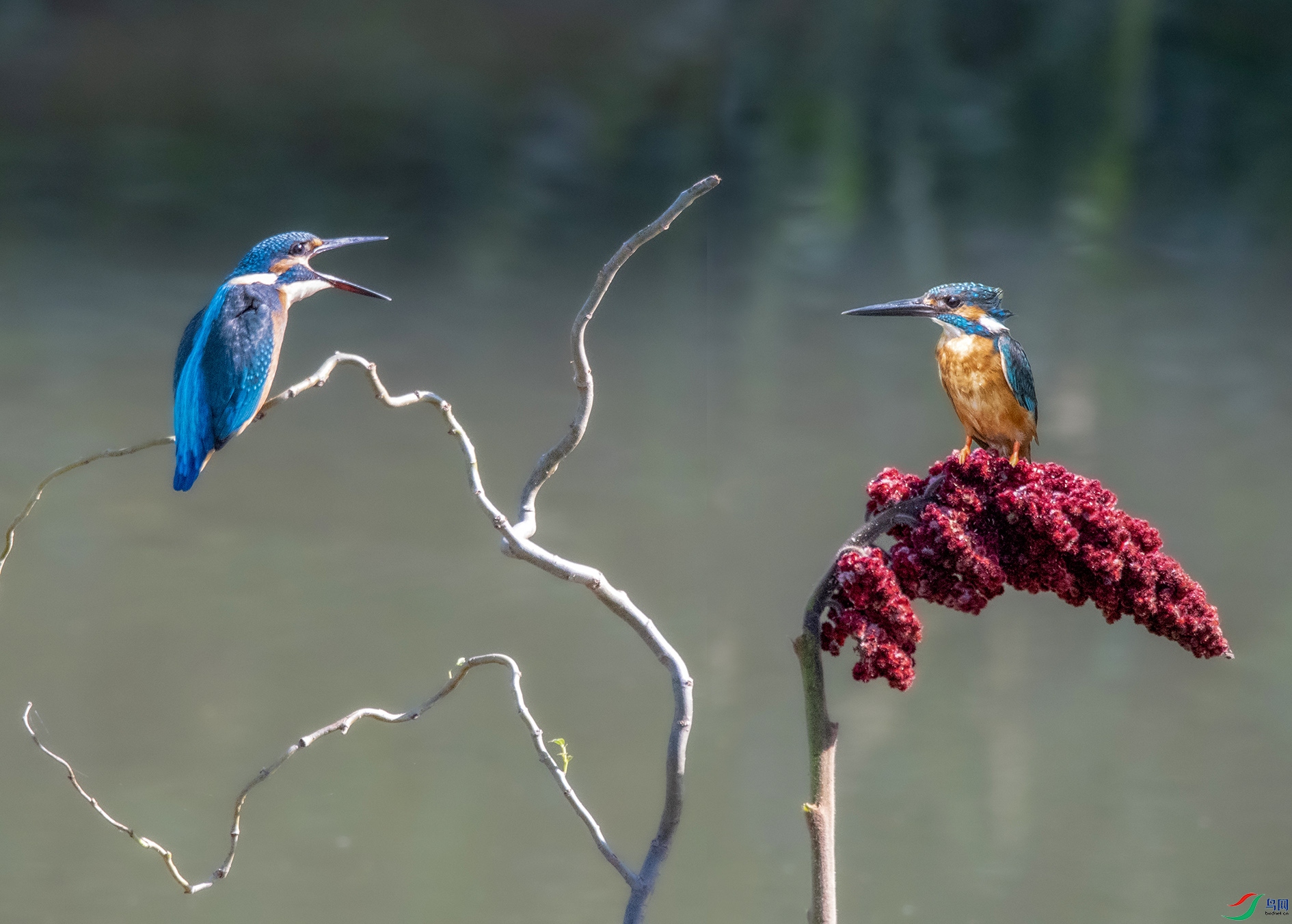 DSC_5837_��ͼ�� ����.jpg