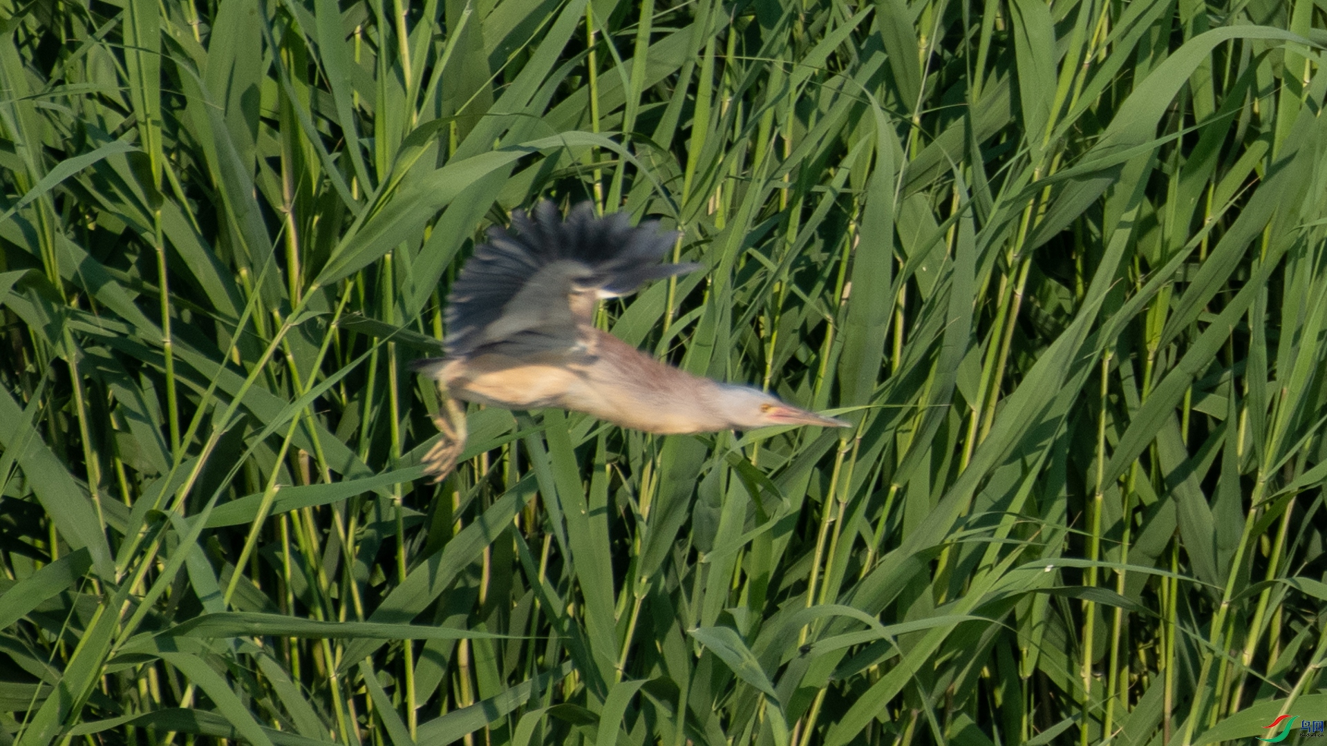 _DSC8669.jpg