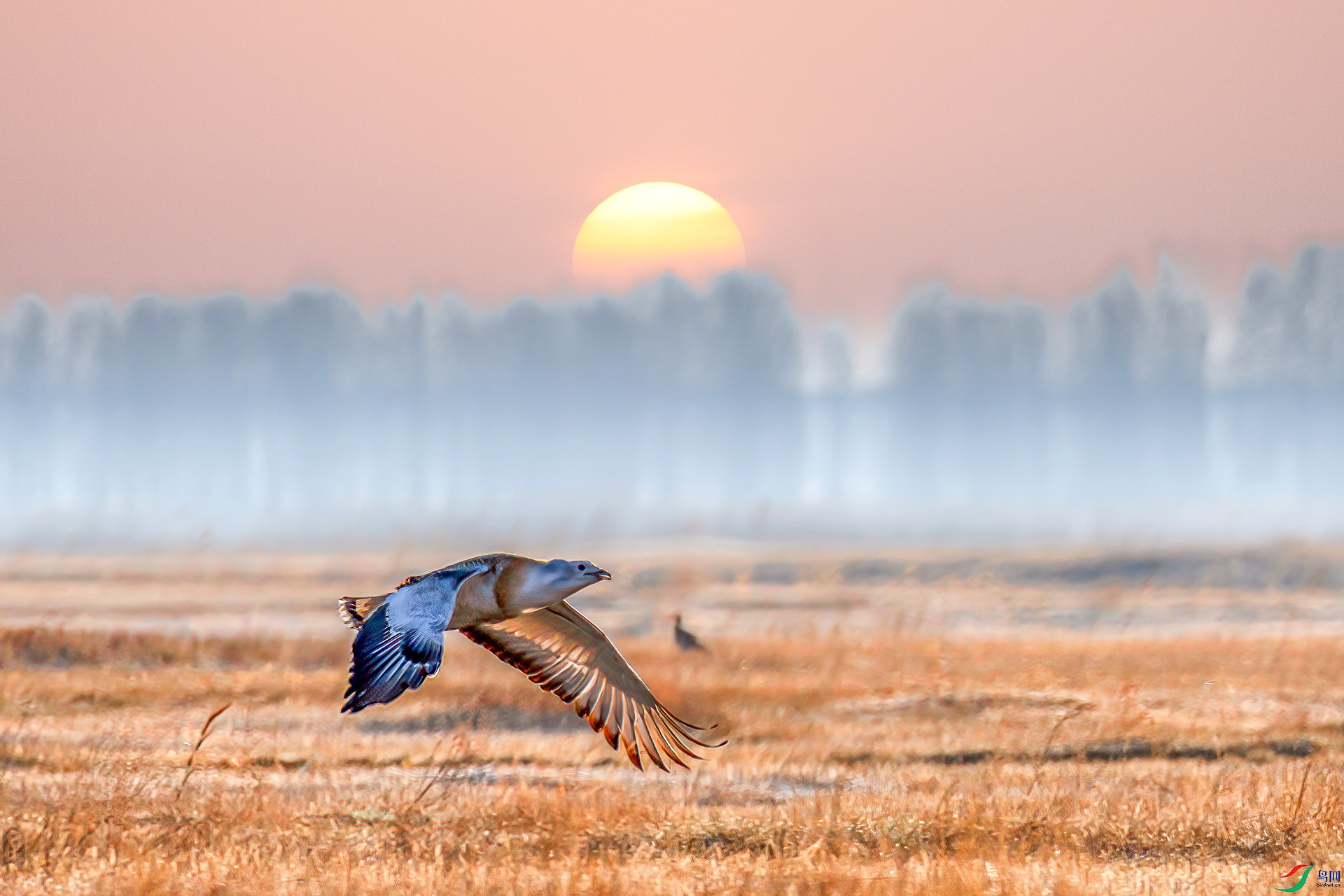 060A1649 ����-Sh----01 .jpg