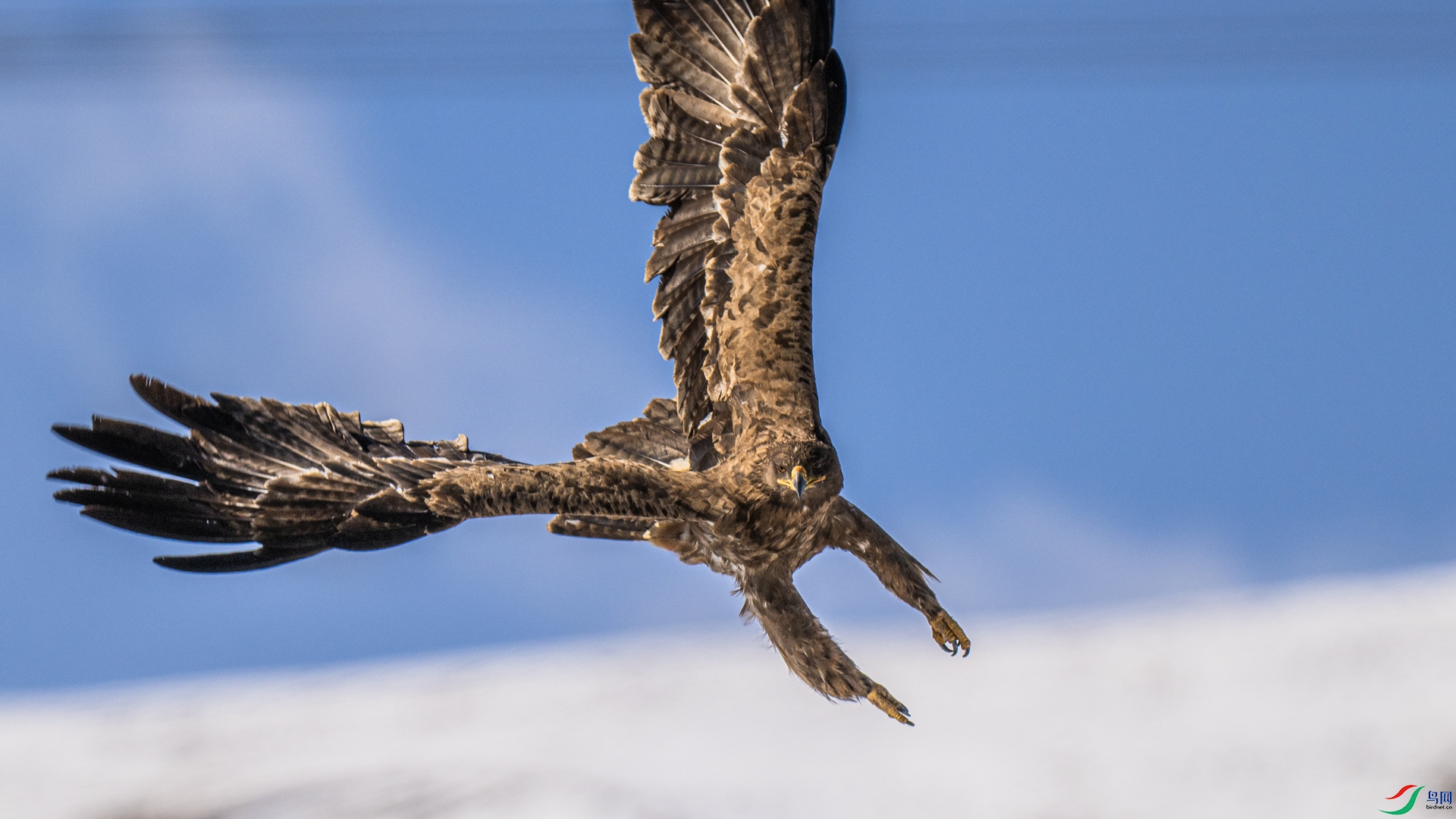 DSC_1706 ����_����.jpg