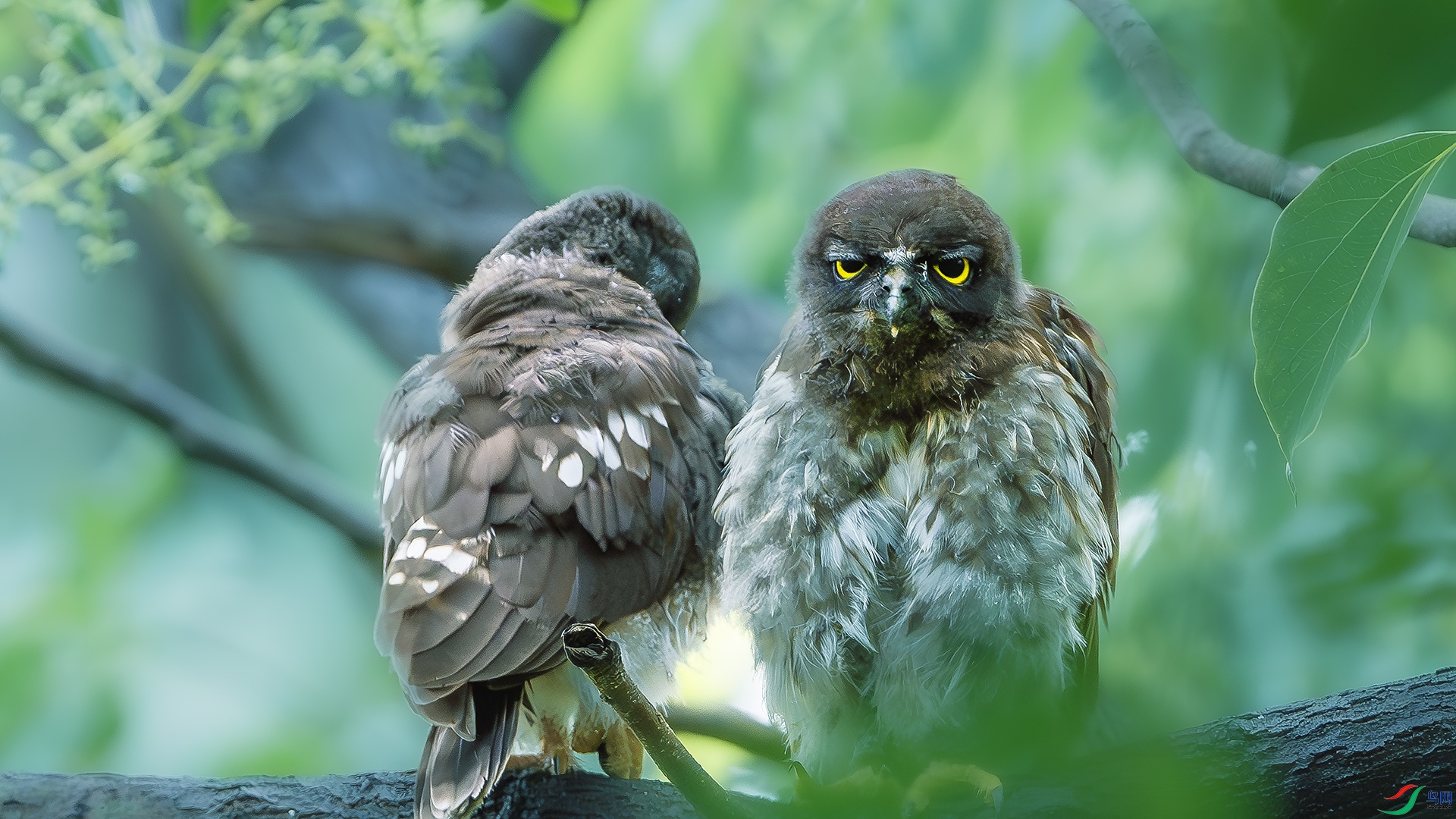 DSC_9485-����ǿ-NR ����.jpg