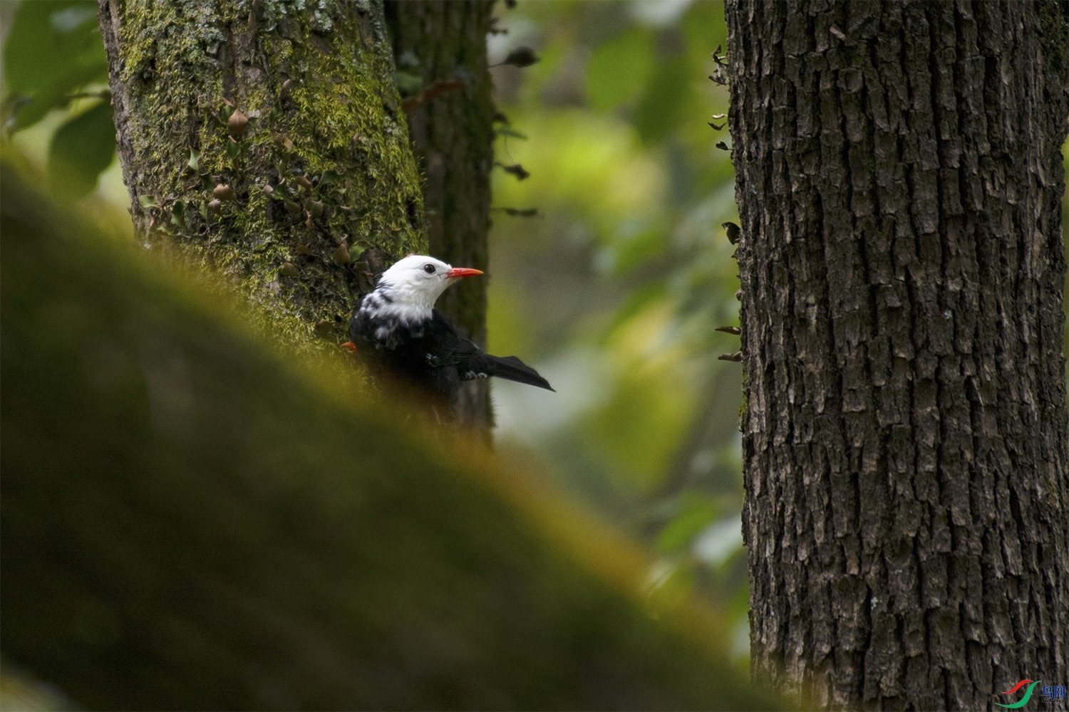 �Ҷ��ڴ�����g