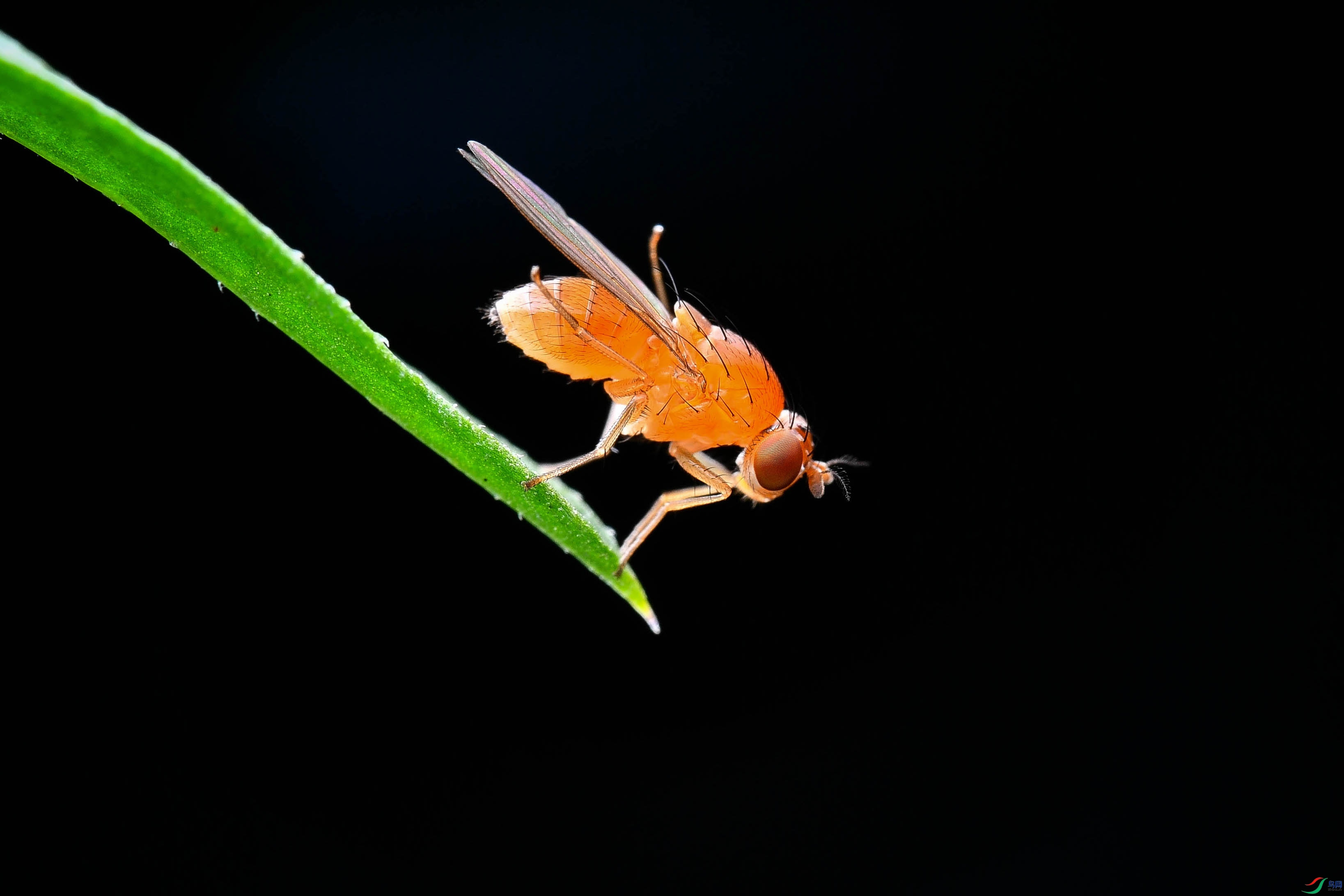 DSC_3133-0.jpg