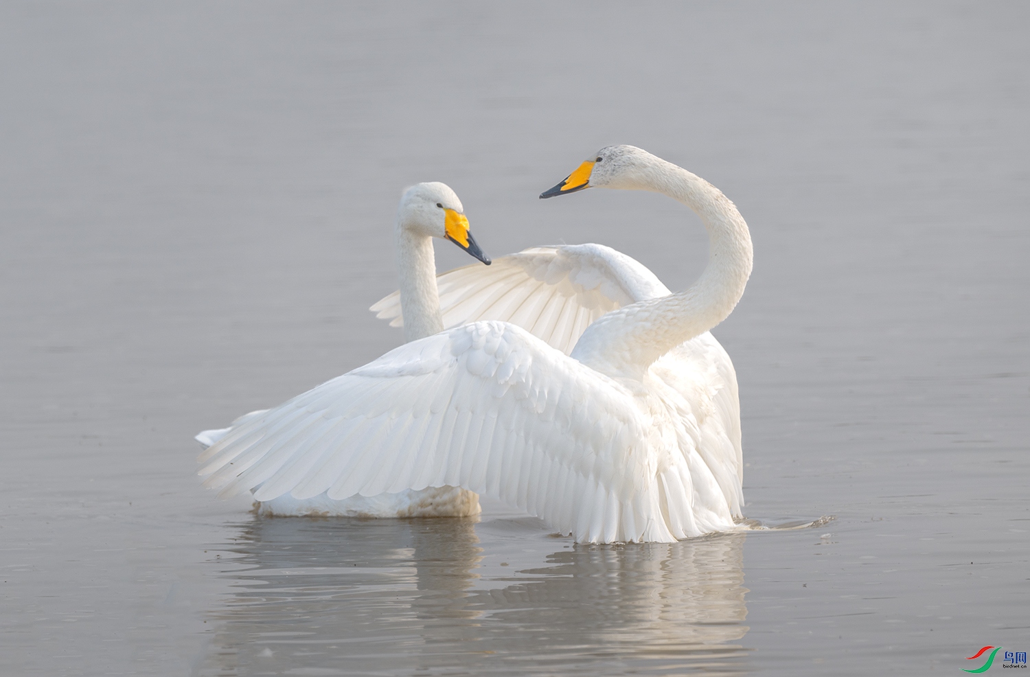 DSC_6774.jpg