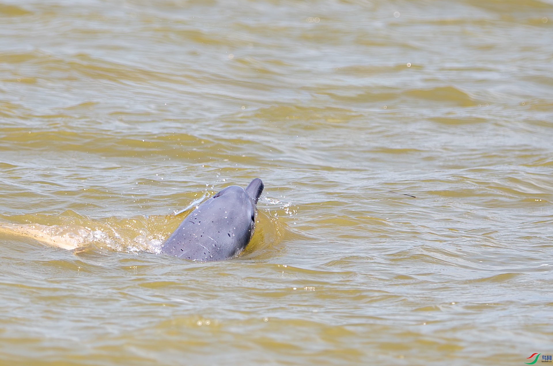 DSC_9175-1.jpg