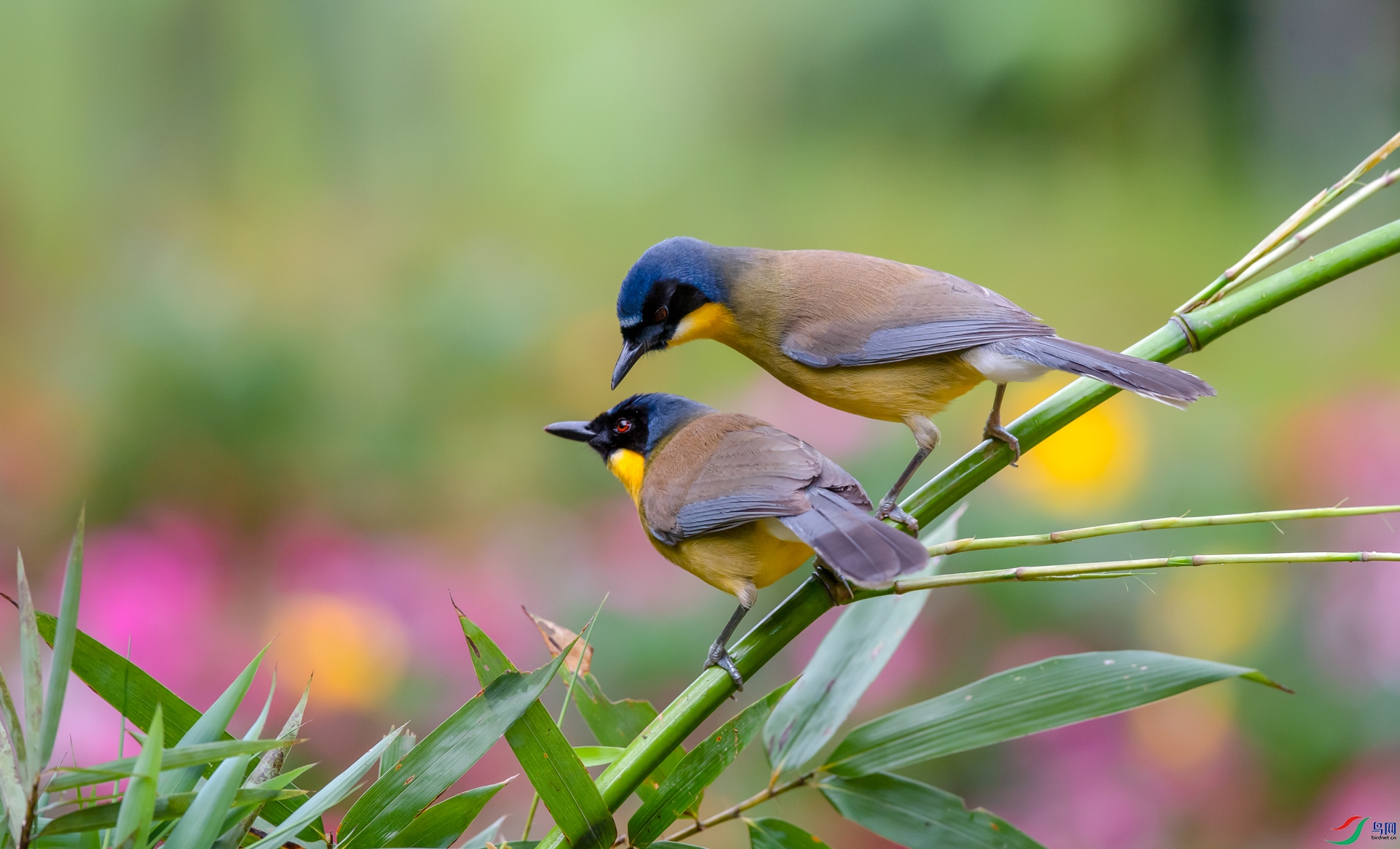 DSC_�������� - ����.jpg