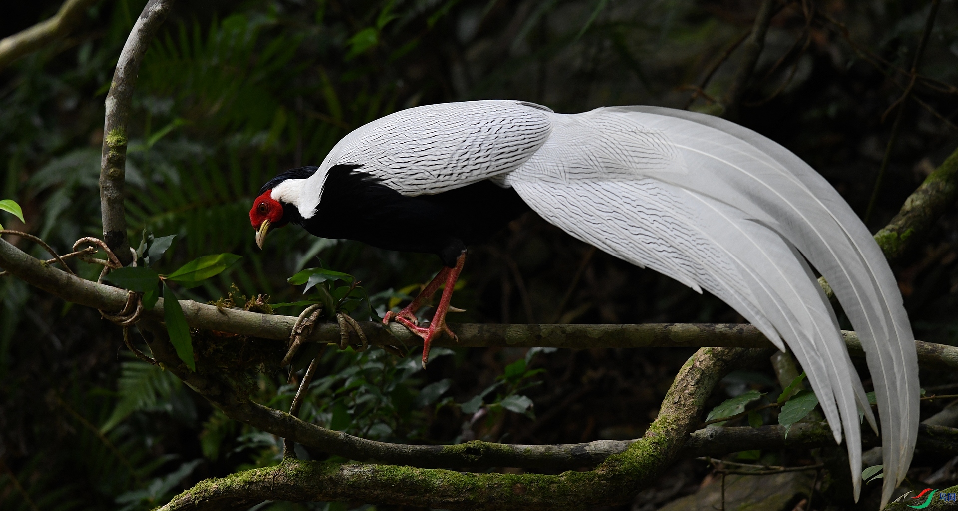 DSC_2658.jpg