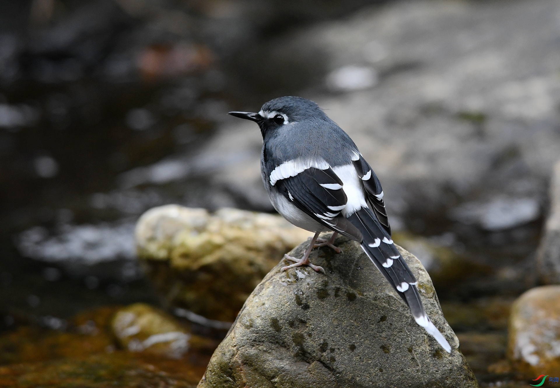 DSC_2562.jpg