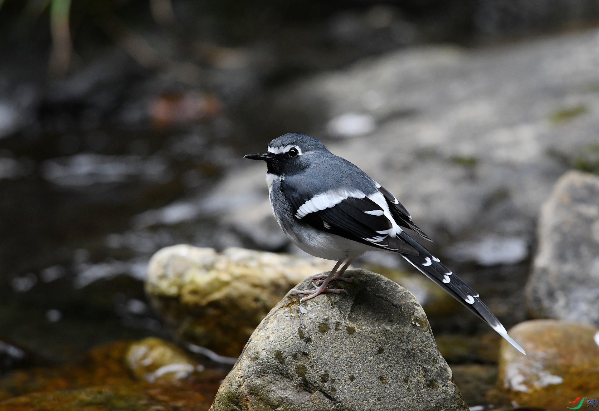 DSC_2563.jpg