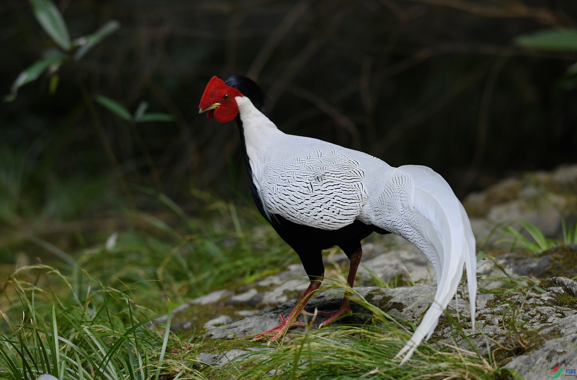DSC_4144.jpg