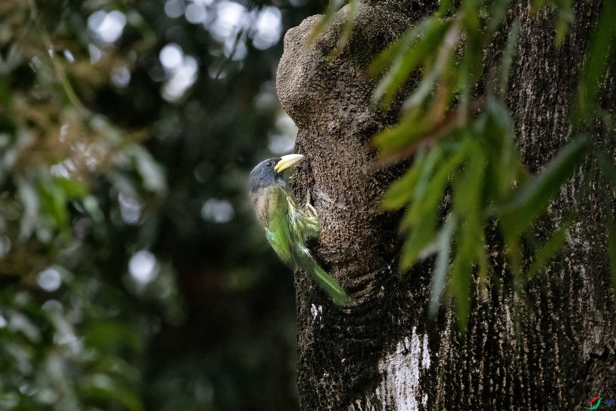 DSC_0276.jpg