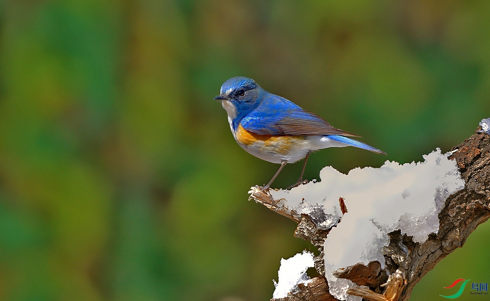 DSC_9360.JPG