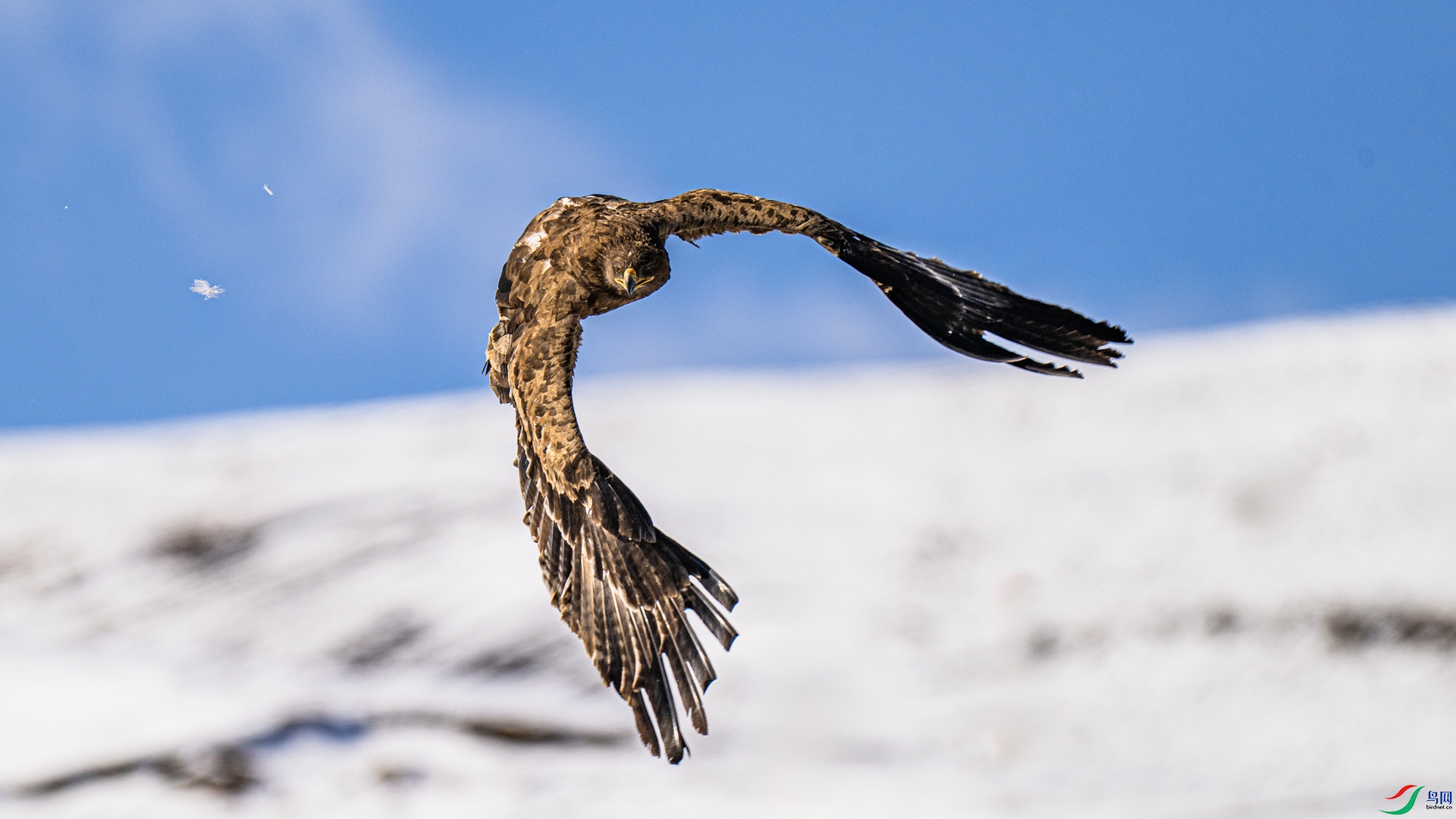 DSC_1708 ����_����.jpg