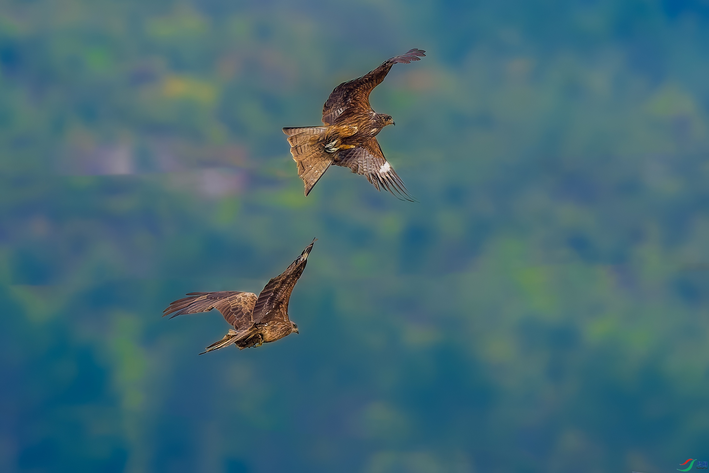 _DSC3282-NEF.jpg