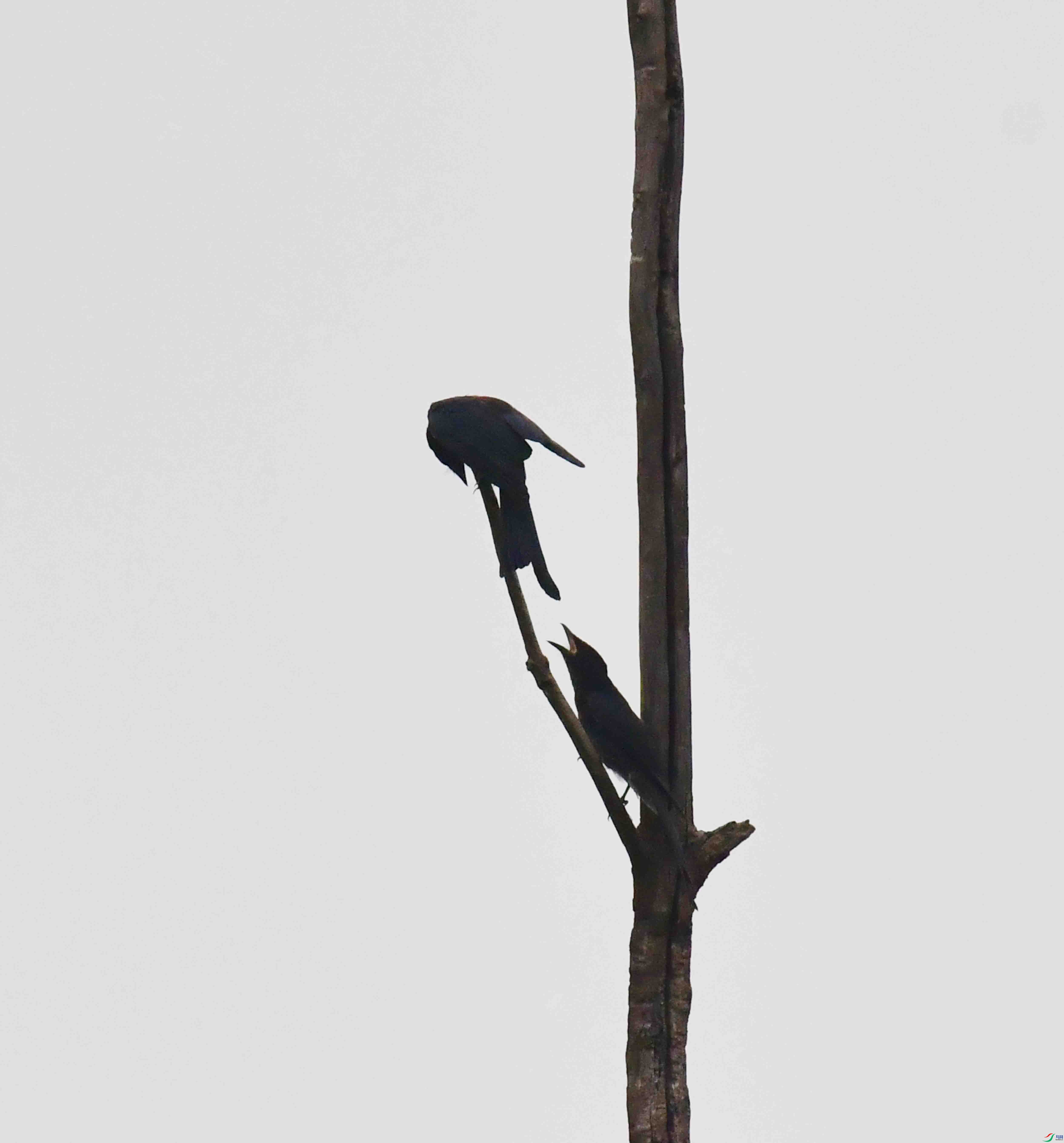 DSC_6059.JPG