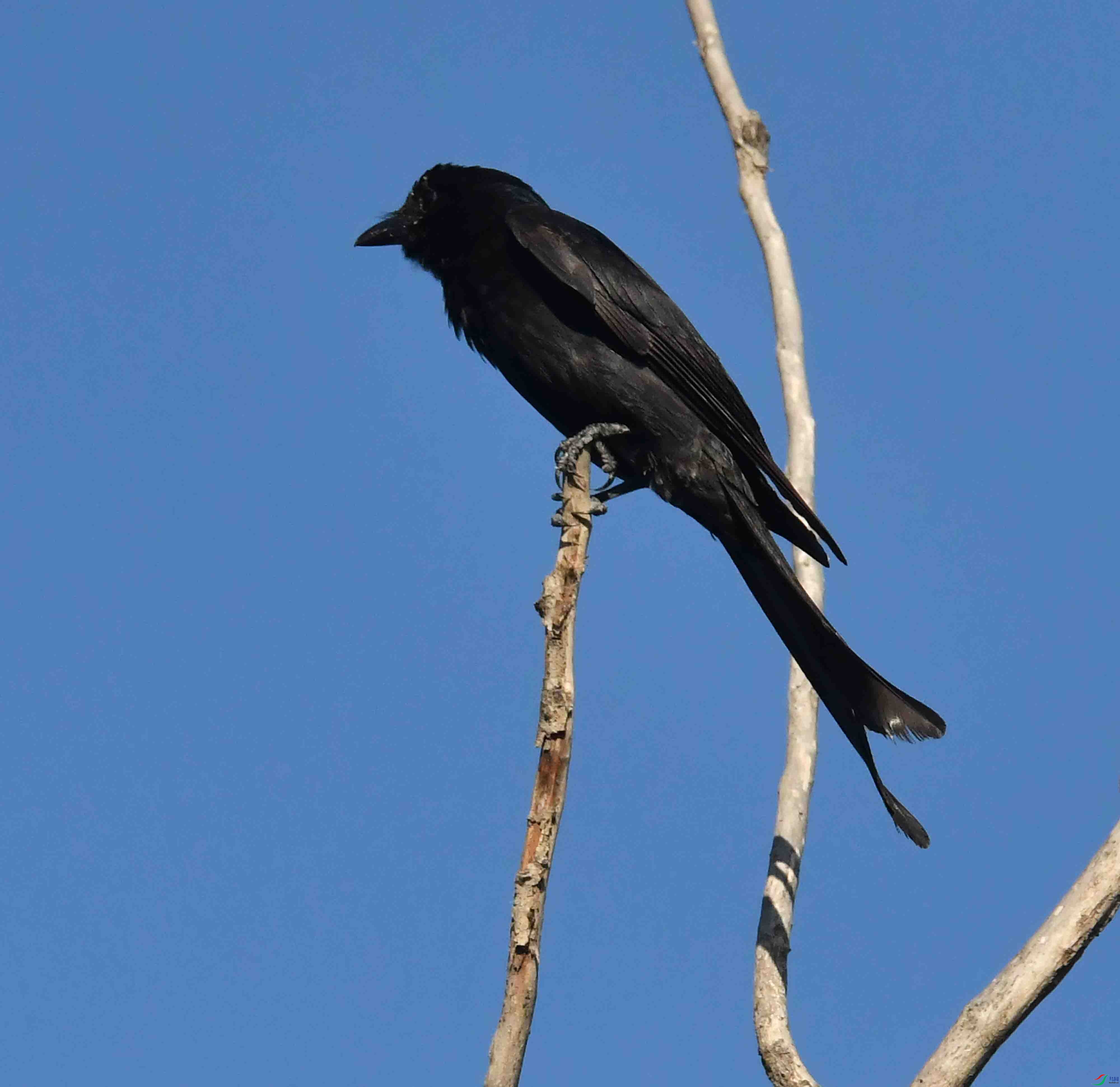 DSC_7277.JPG