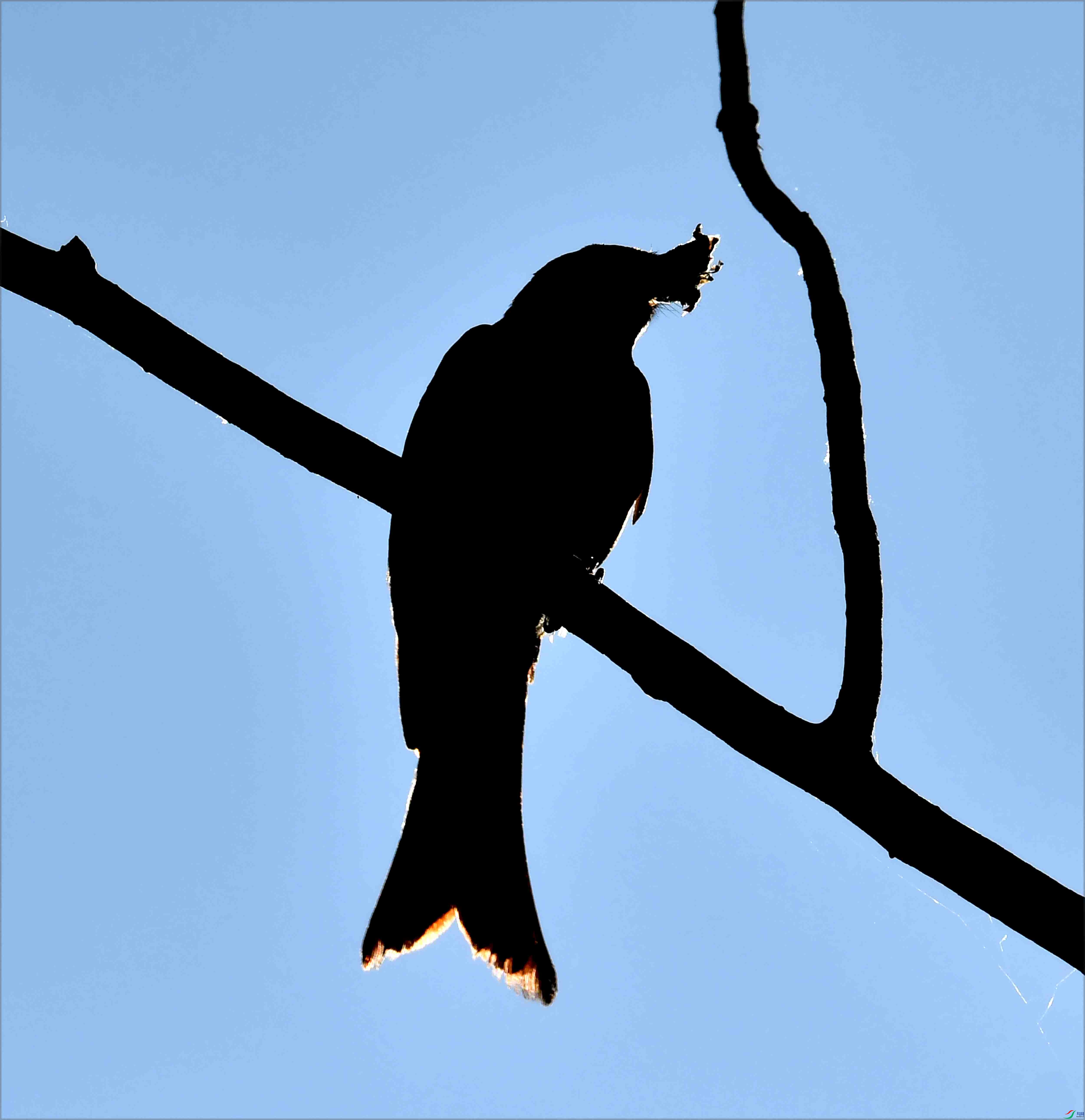 DSC_9123.JPG