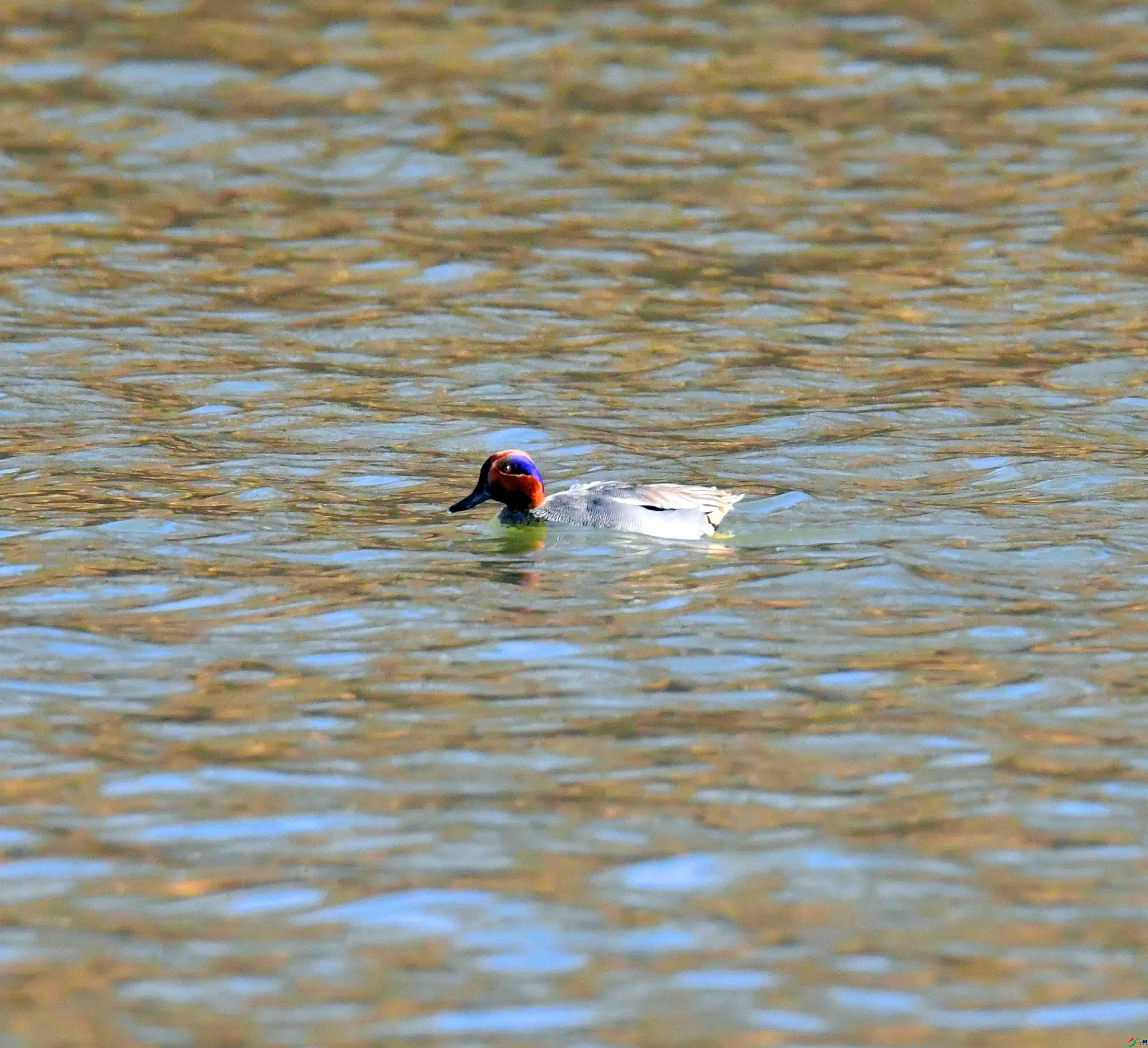 DSC_0180.JPG