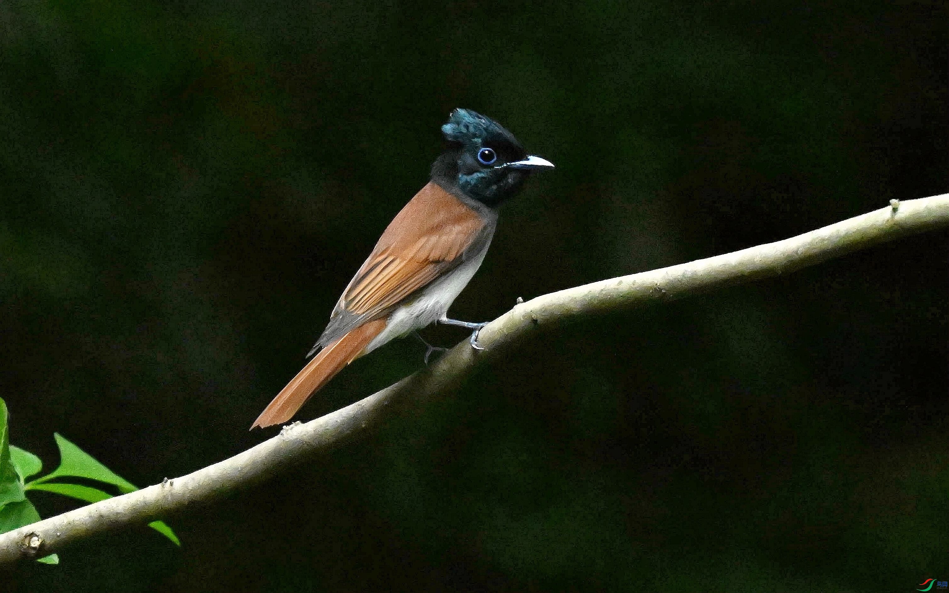 DSC_3563_����.jpg