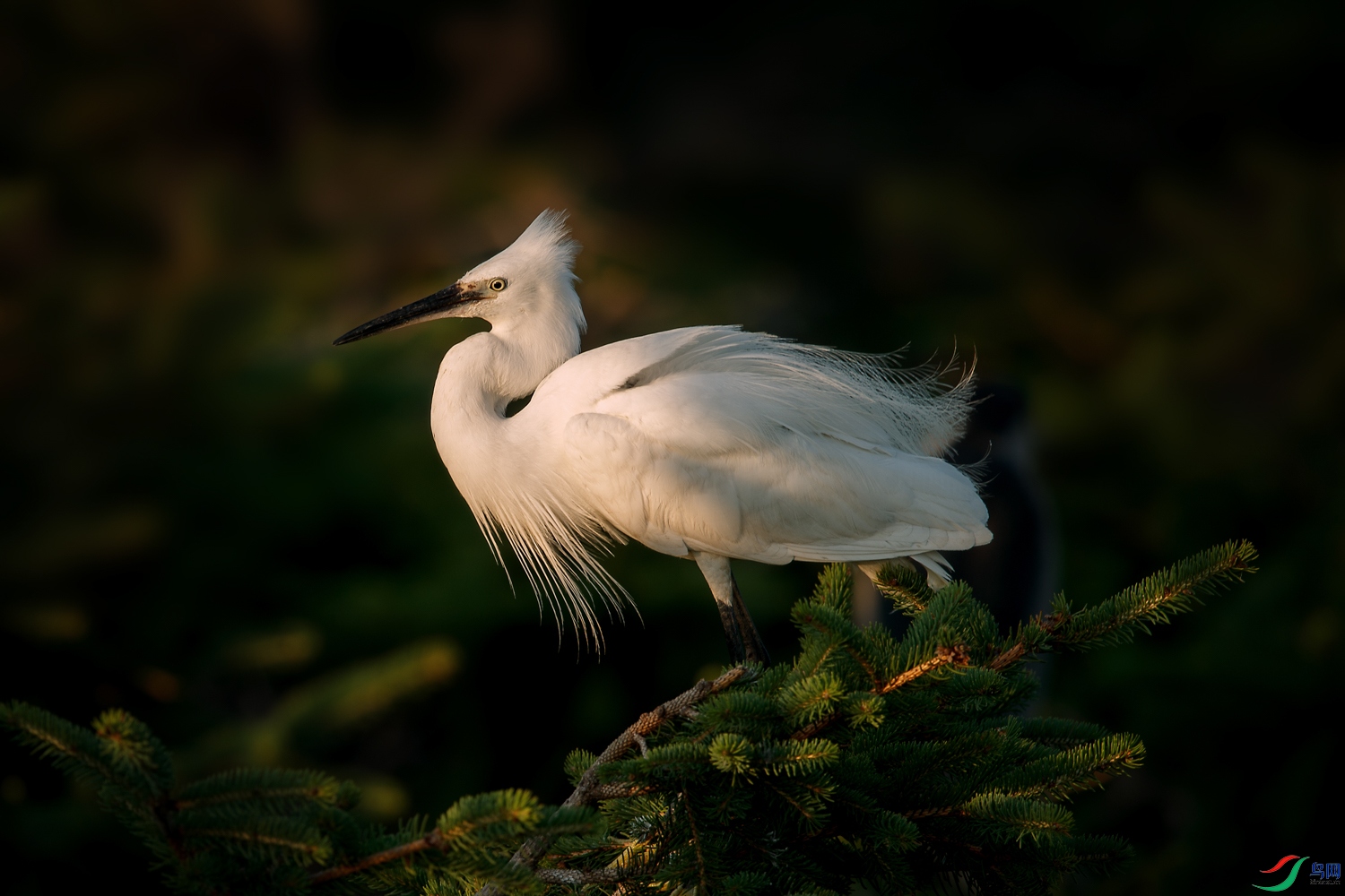 AQ9I1280 ����.jpg