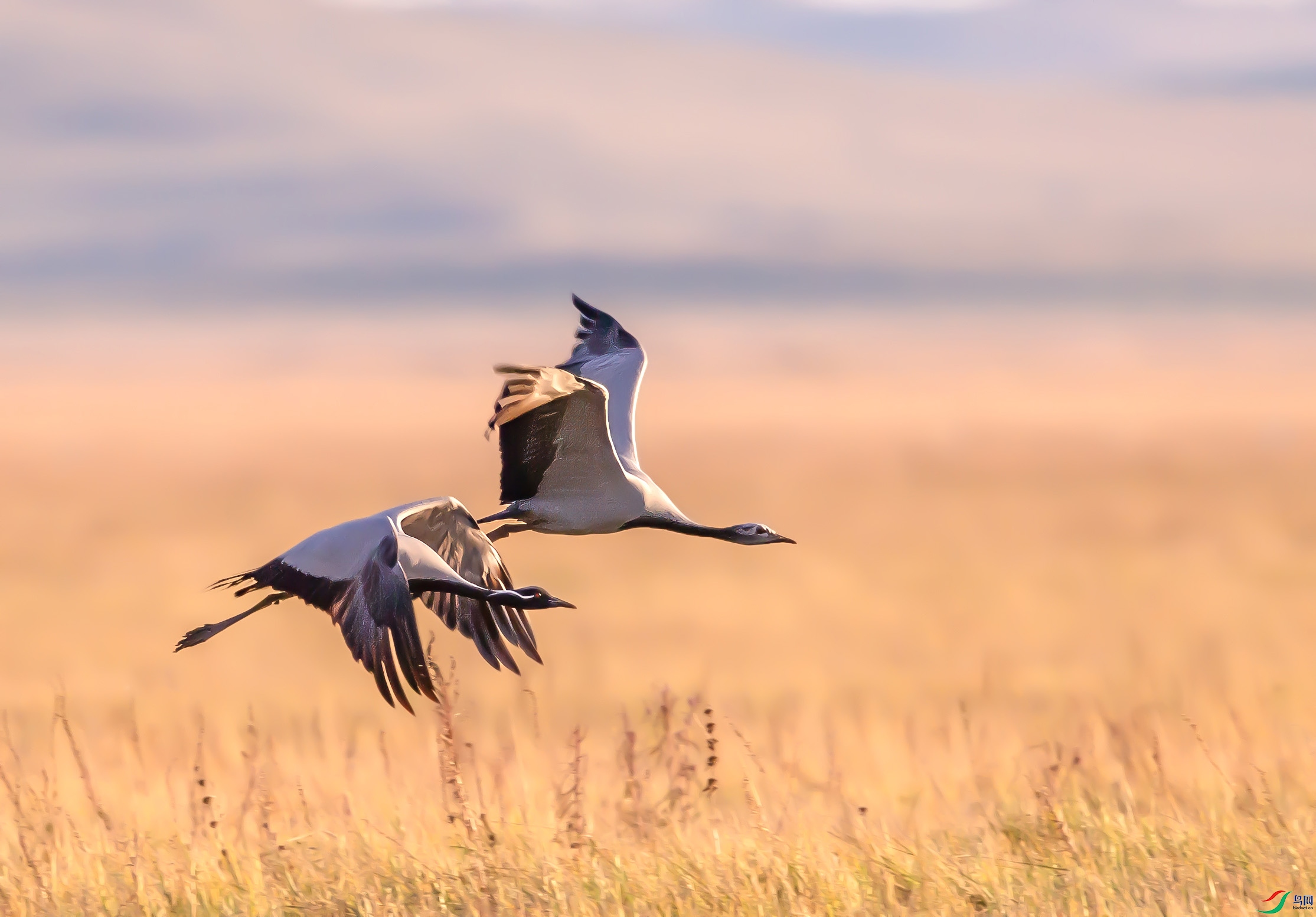 _I6W5316 ���������.jpg