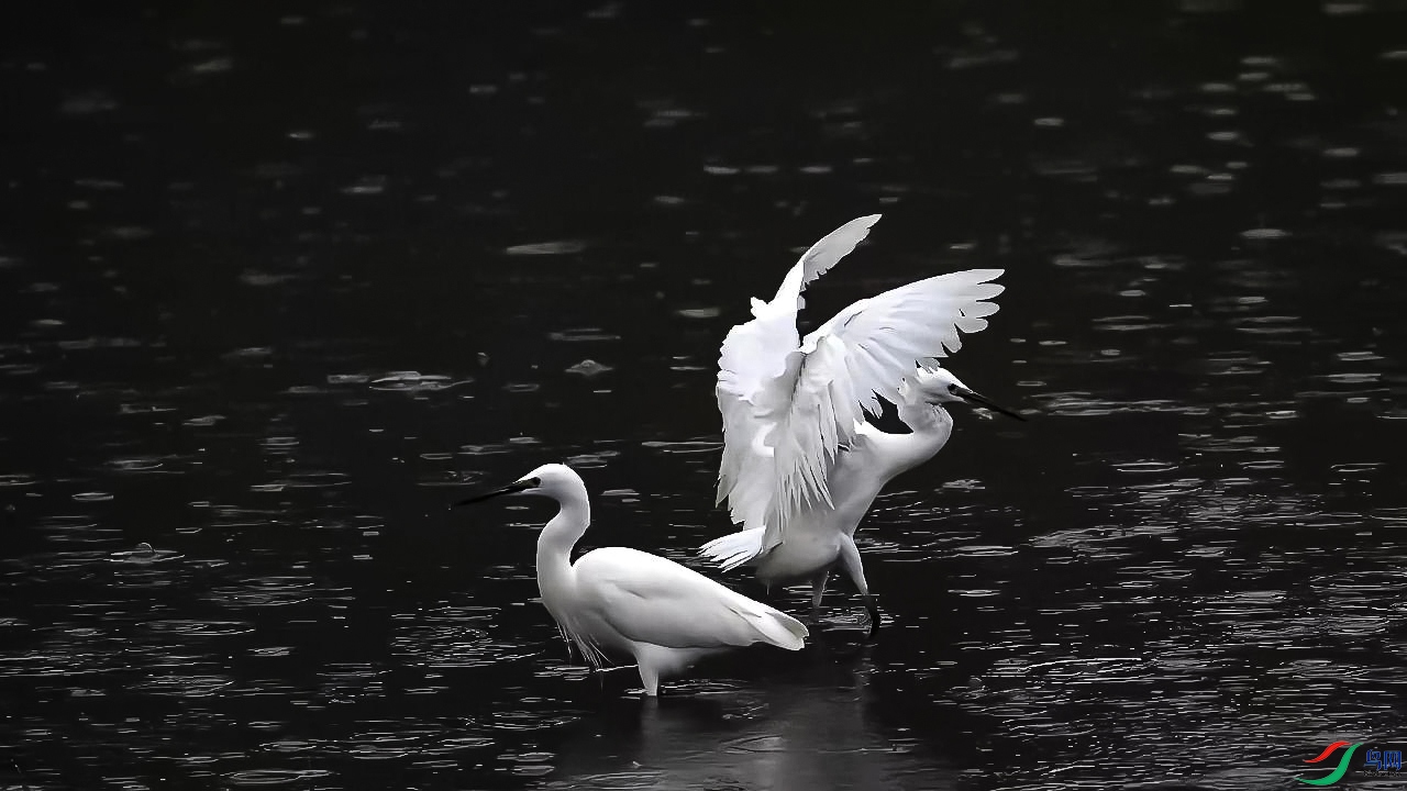 10��26�� (С���ط���׽��)-����.jpg