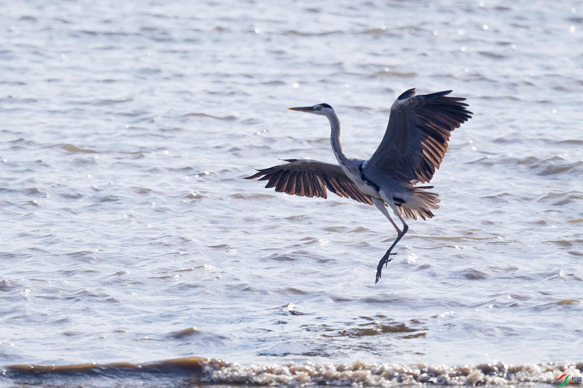 DSC_1466_DxO_DxOa.jpg