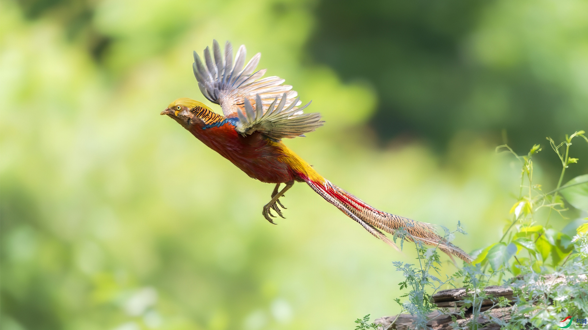 _DSC6742 ����.jpg