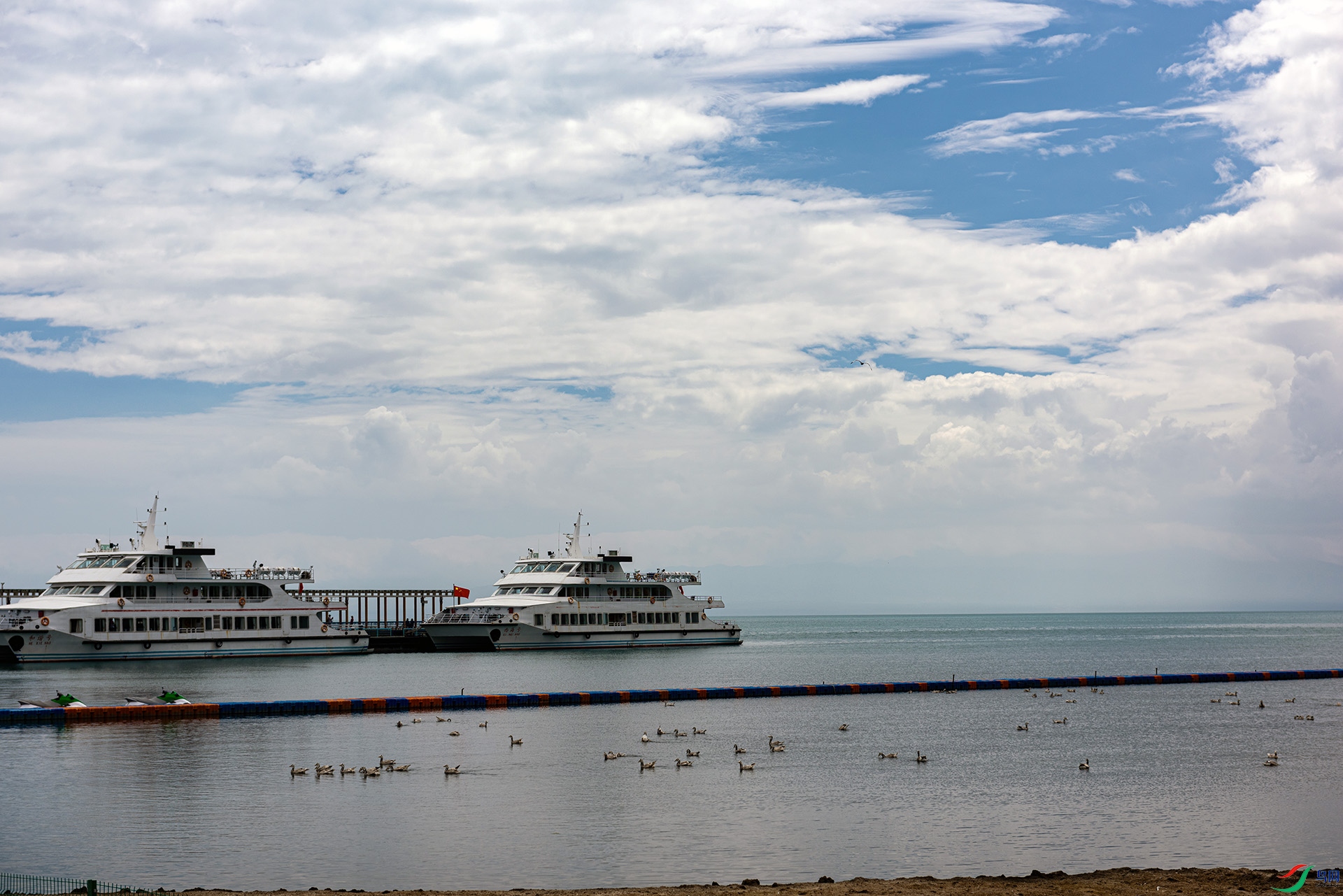 DSC_3603.jpg