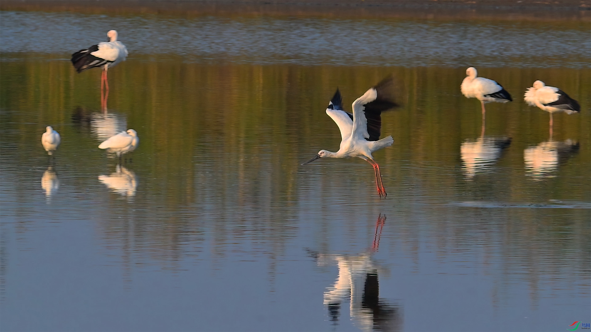 10��20�� (1)(1).jpg