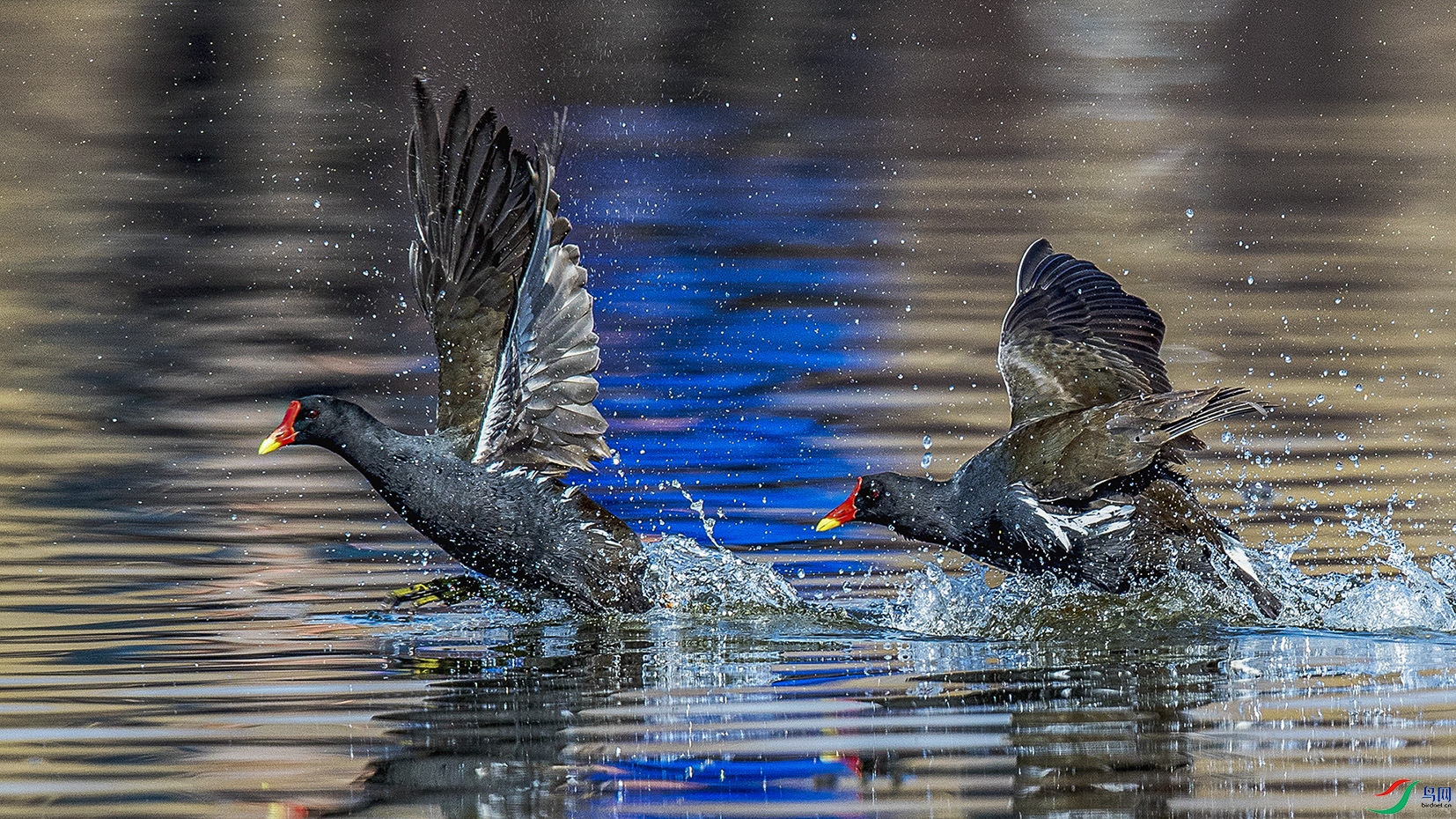 _90I4261 ���� 2.jpg