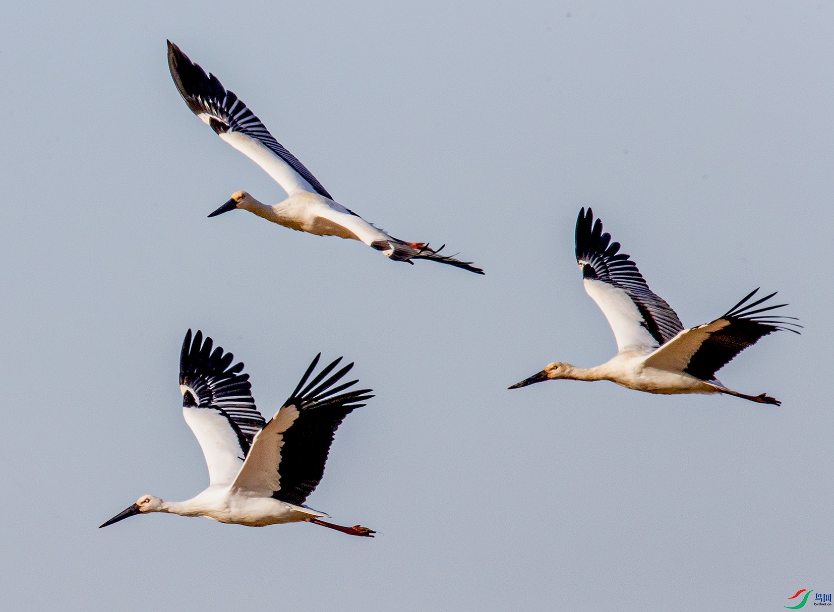 _90I3647 ����.jpg