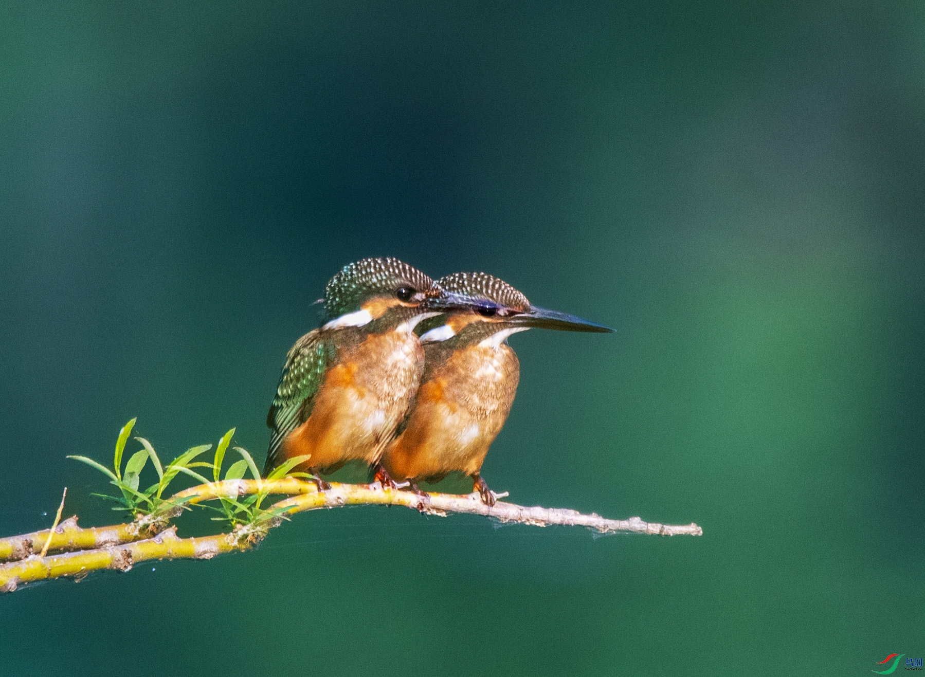 DSC_8456_��ͼ�� ����.jpg