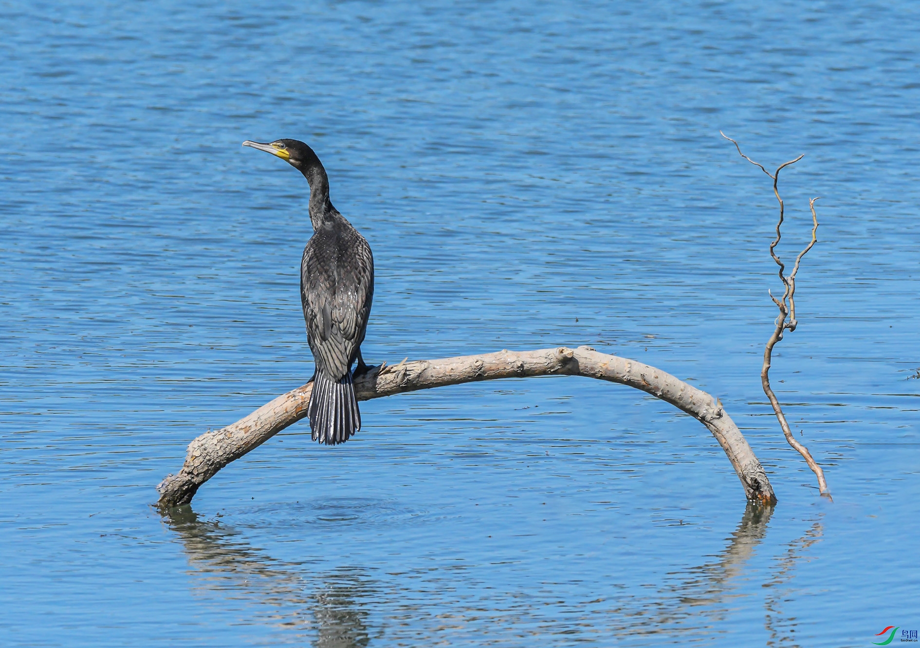 DSC_8428_��ͼ��_��ͼ�� ����.jpg