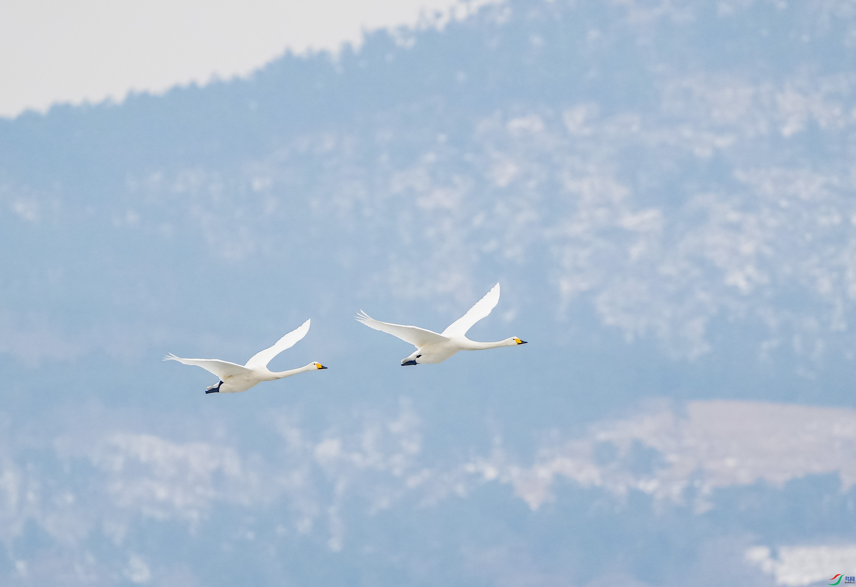 �����-2 (2).jpg