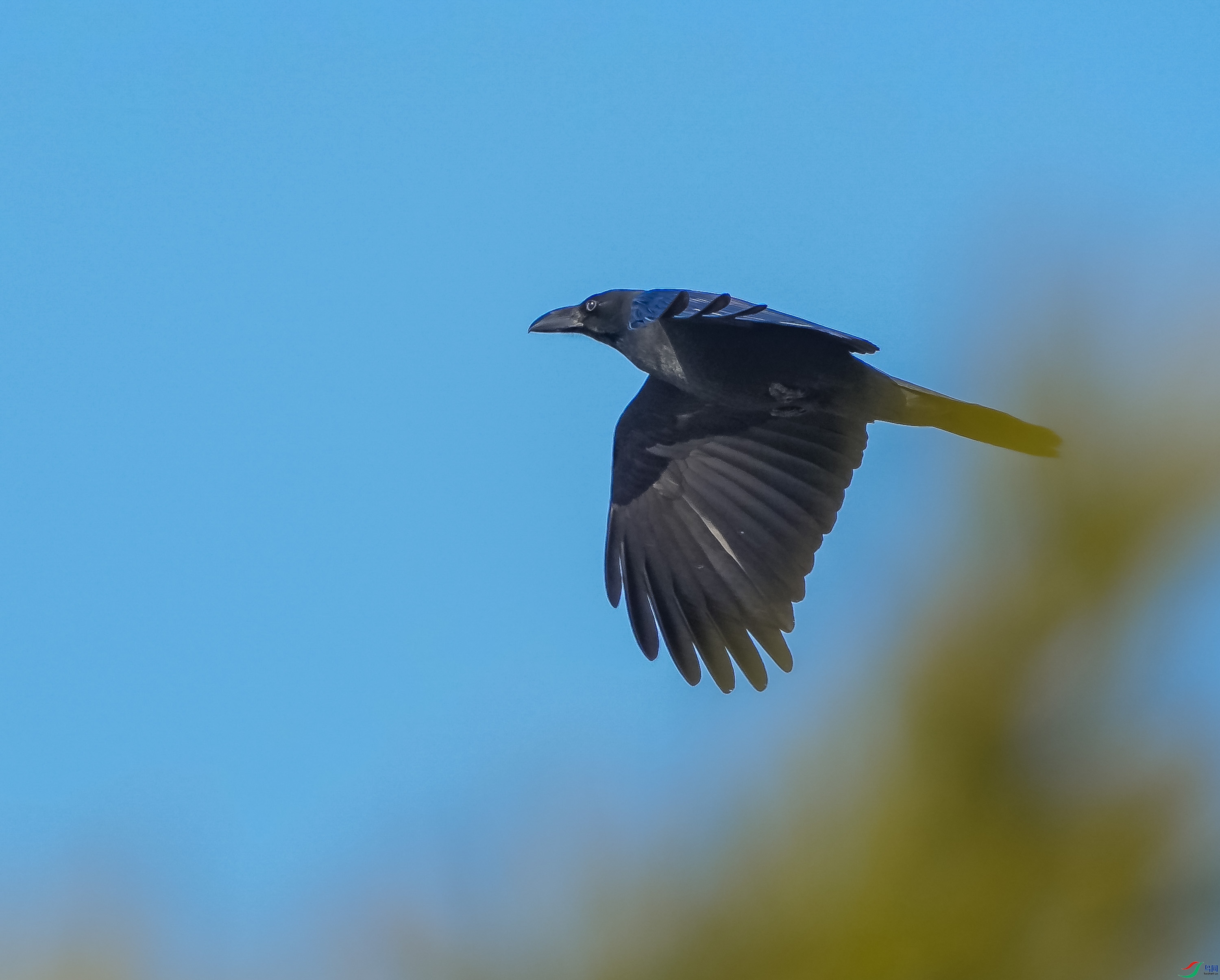 ������ѻ-2 (2).jpg