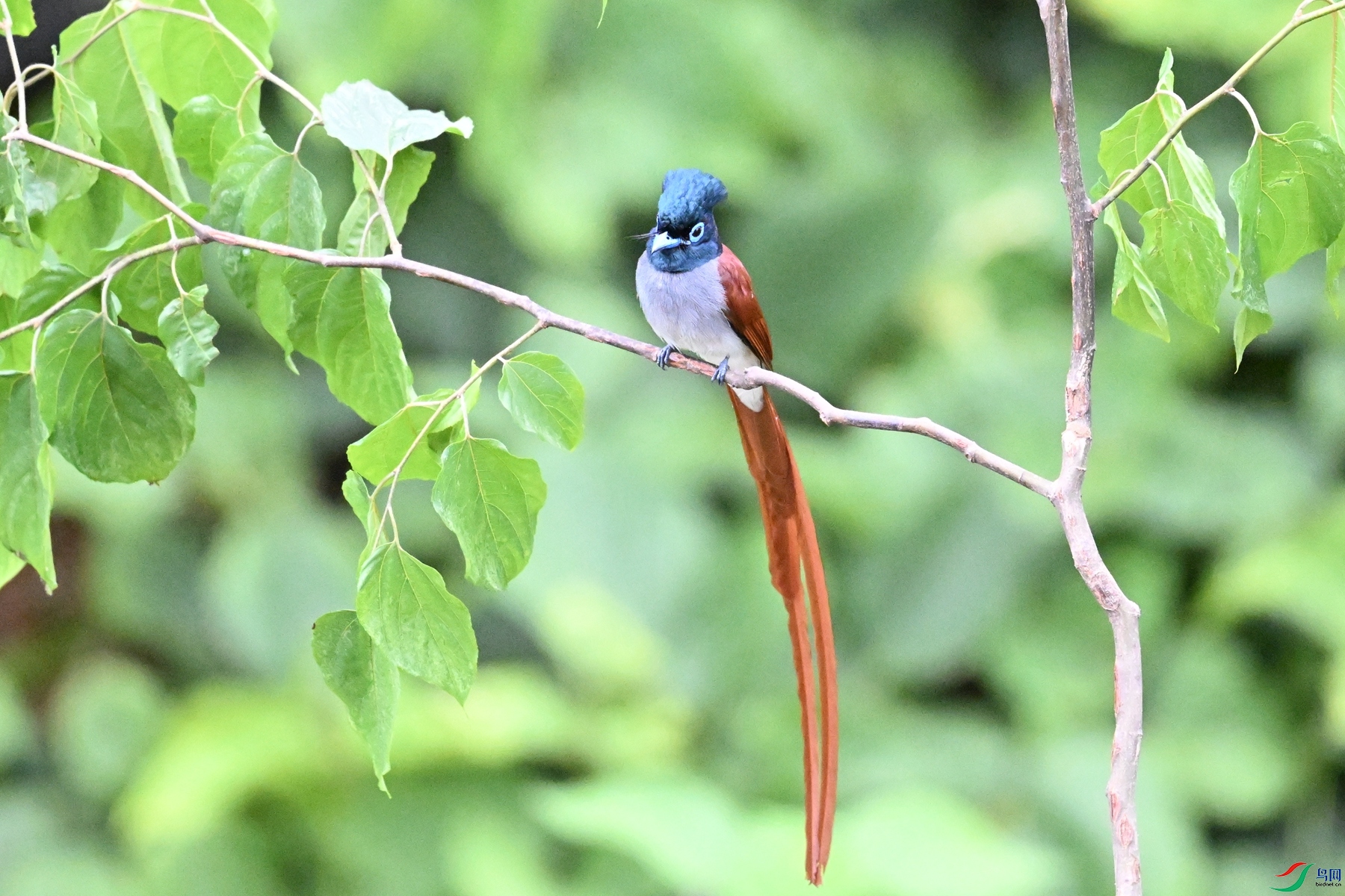 DSC_6880.JPG