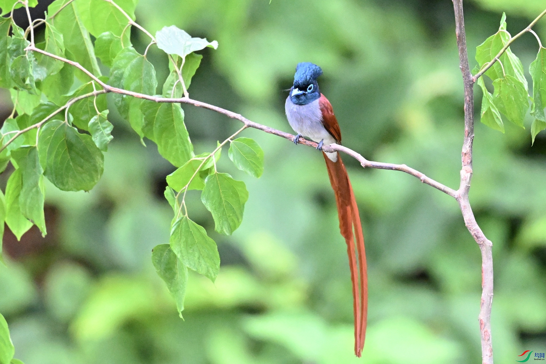 DSC_6882.JPG