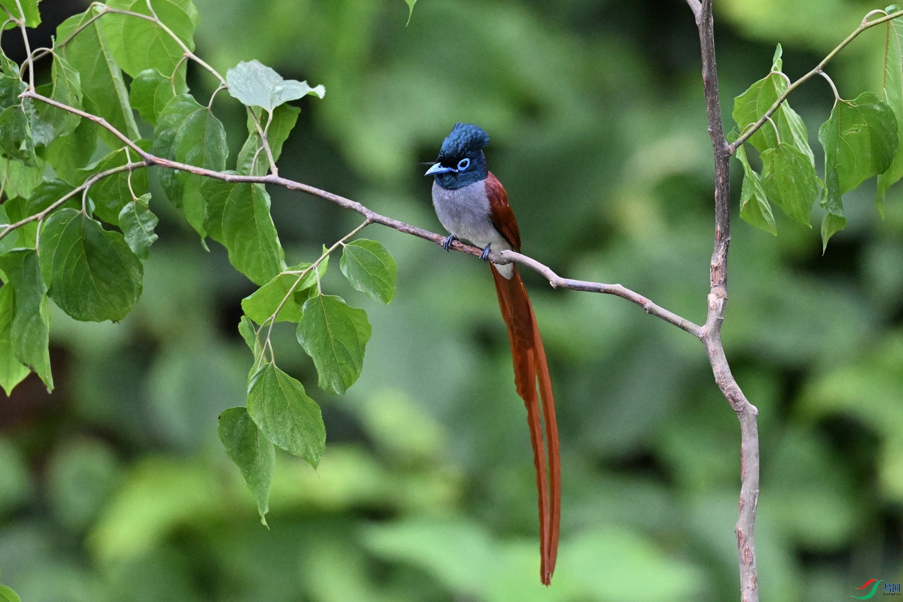 DSC_6887.JPG
