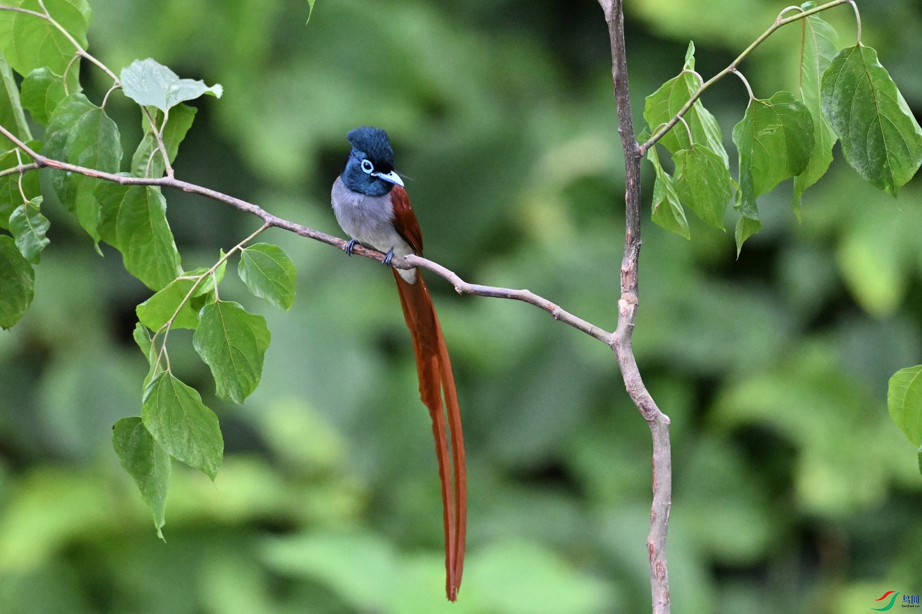 DSC_6885.JPG