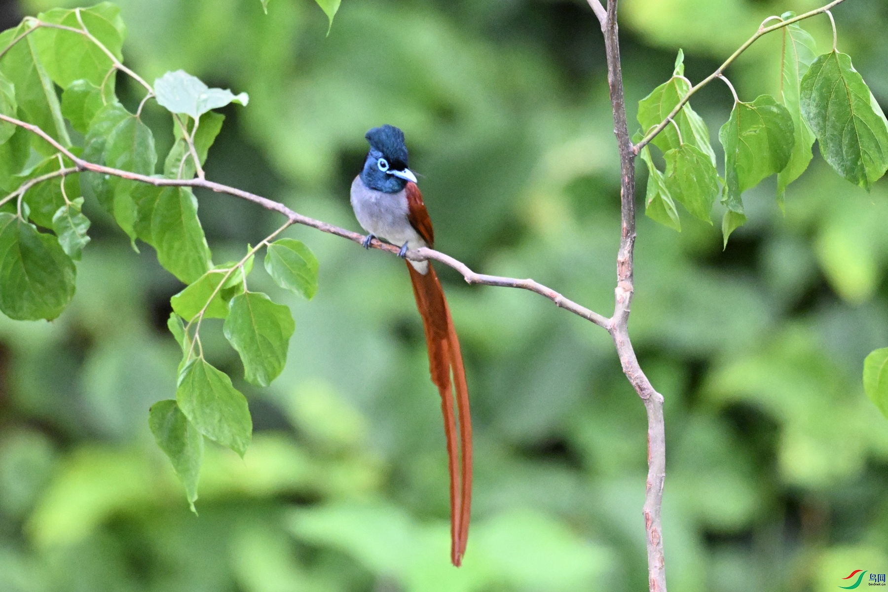 DSC_6877.JPG