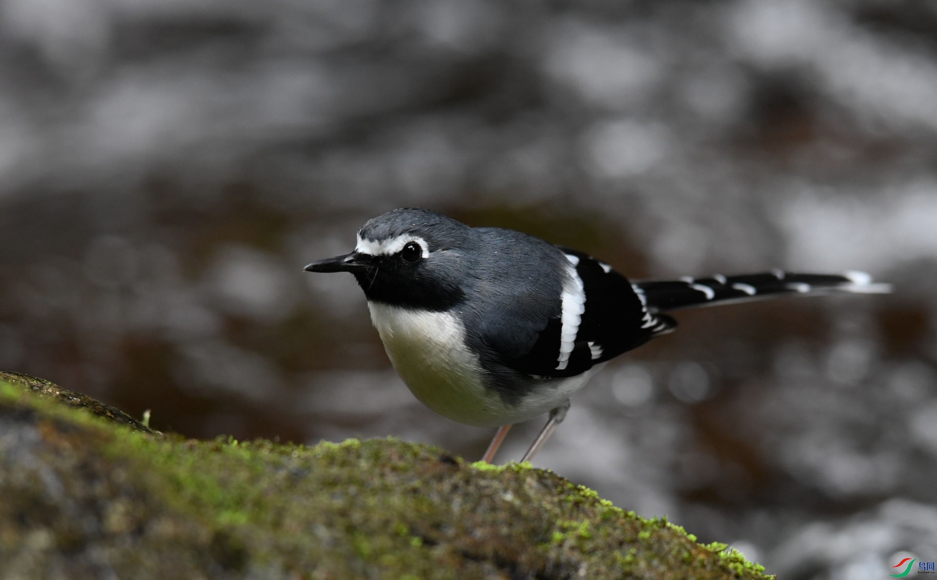 DSC_2473.jpg