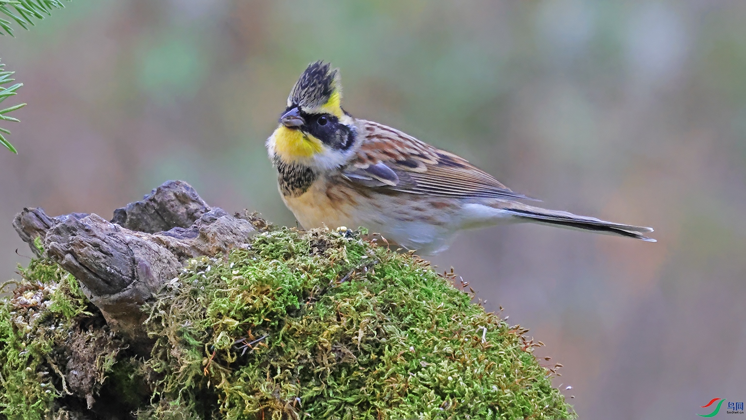 3U2A4250 ���� 2.jpg