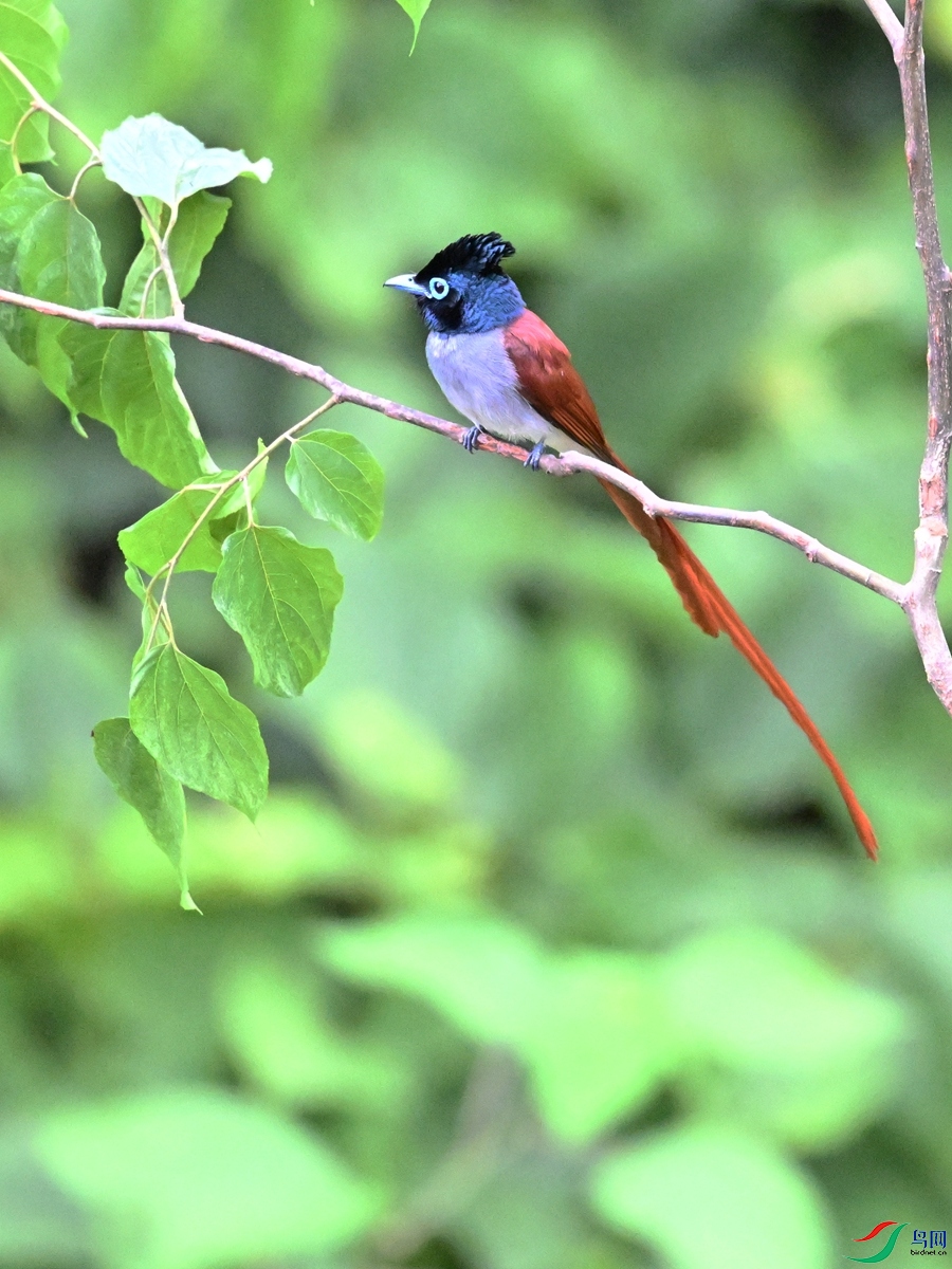 DSC_6897.JPG