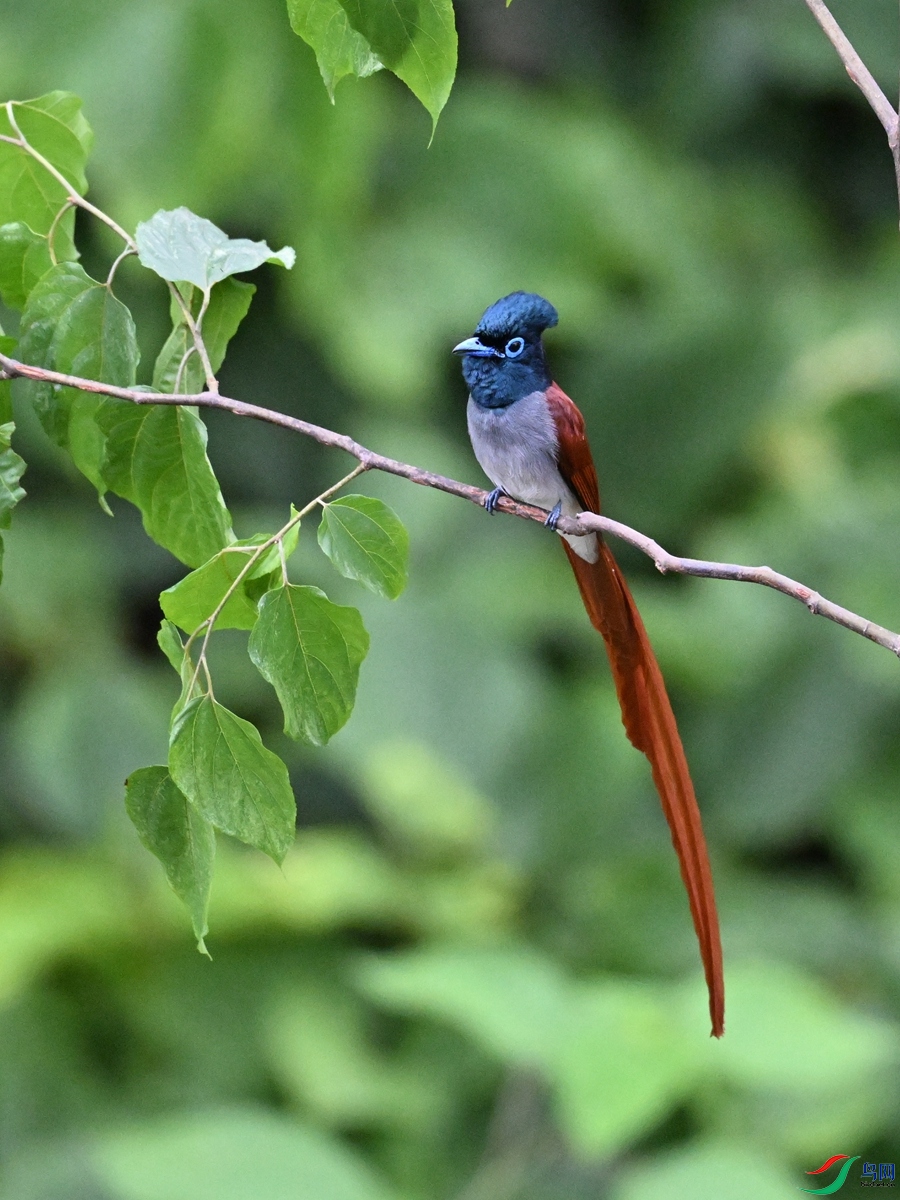 DSC_6908.JPG