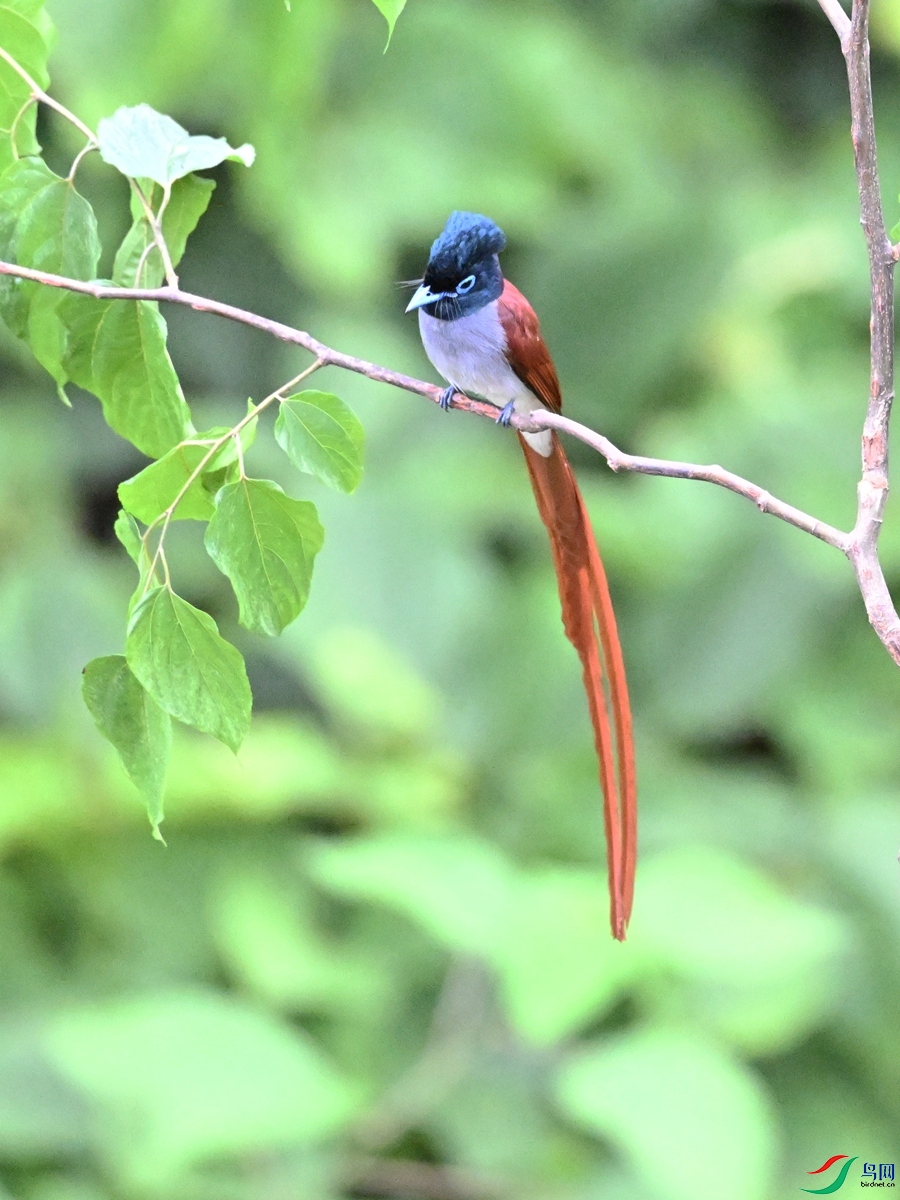 DSC_6889.JPG