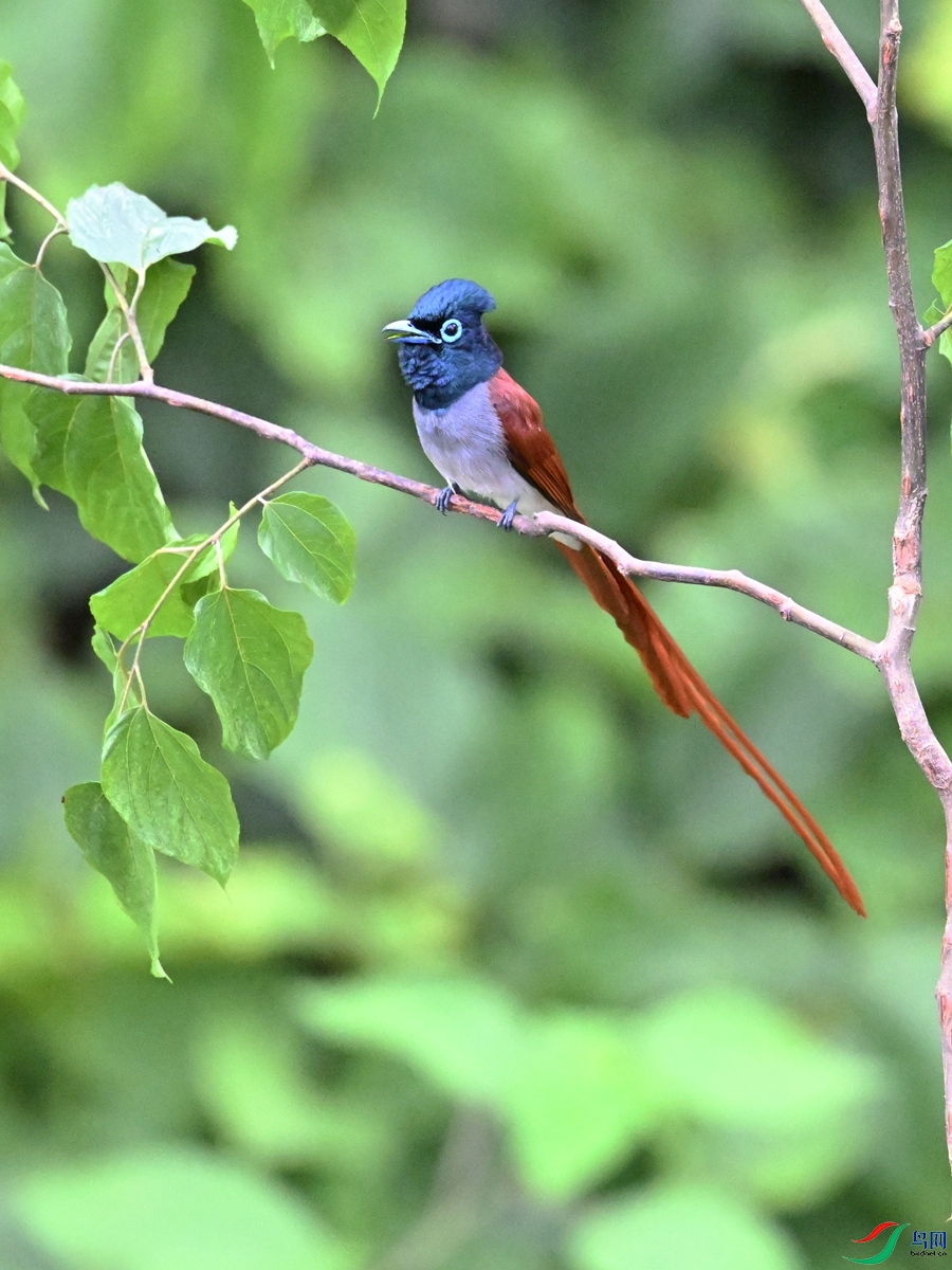 DSC_6899.JPG